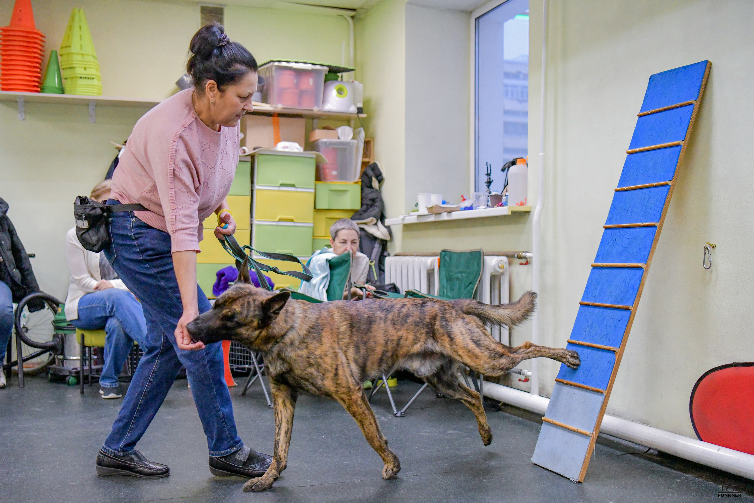 Кинологический клуб «Бодрый хвост». Свой взгляд через объектив