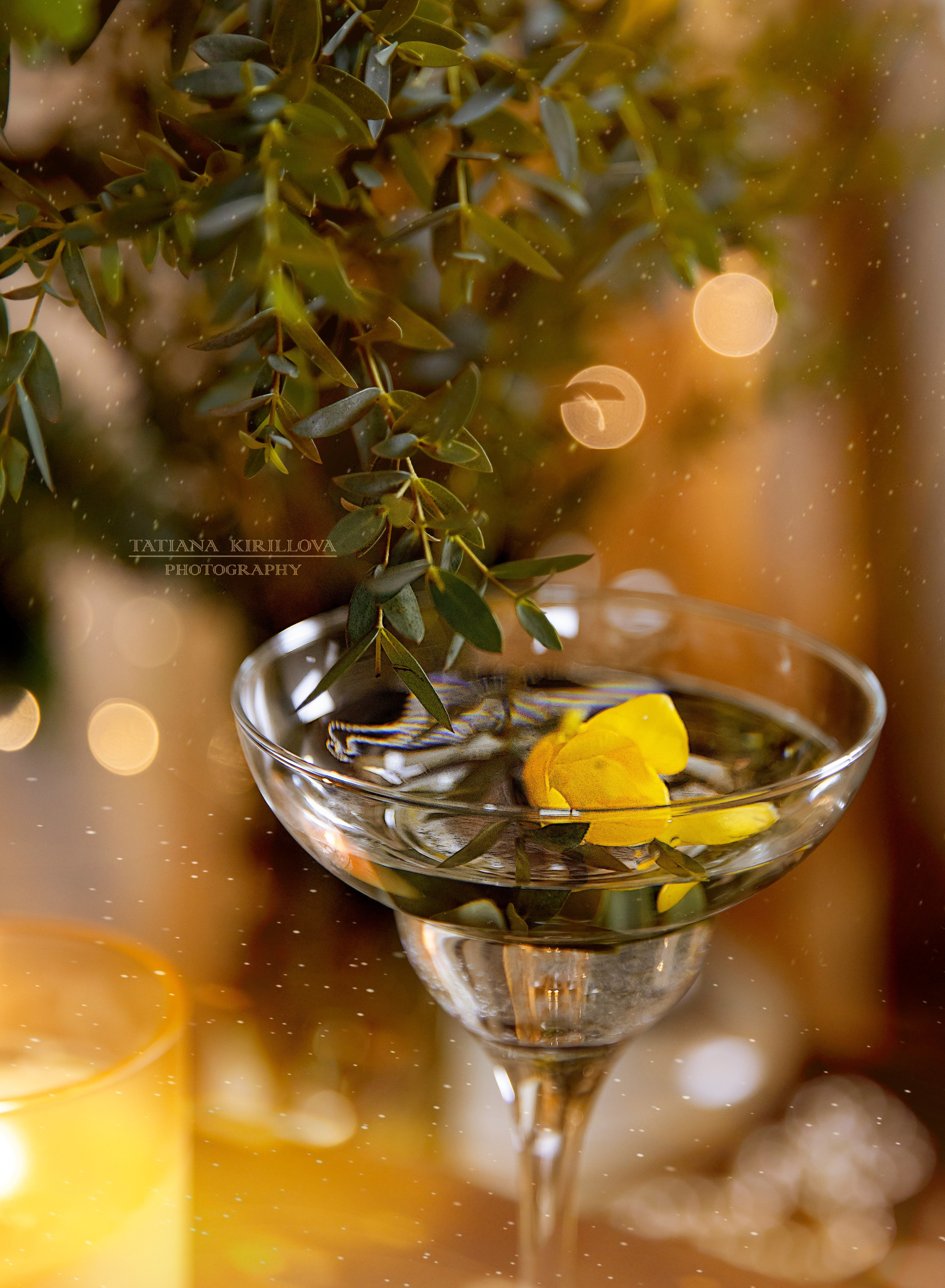 Предметная съемка, цветы, открытки. Фотограф — Татьяна Кириллова, г. Санкт-Петербург