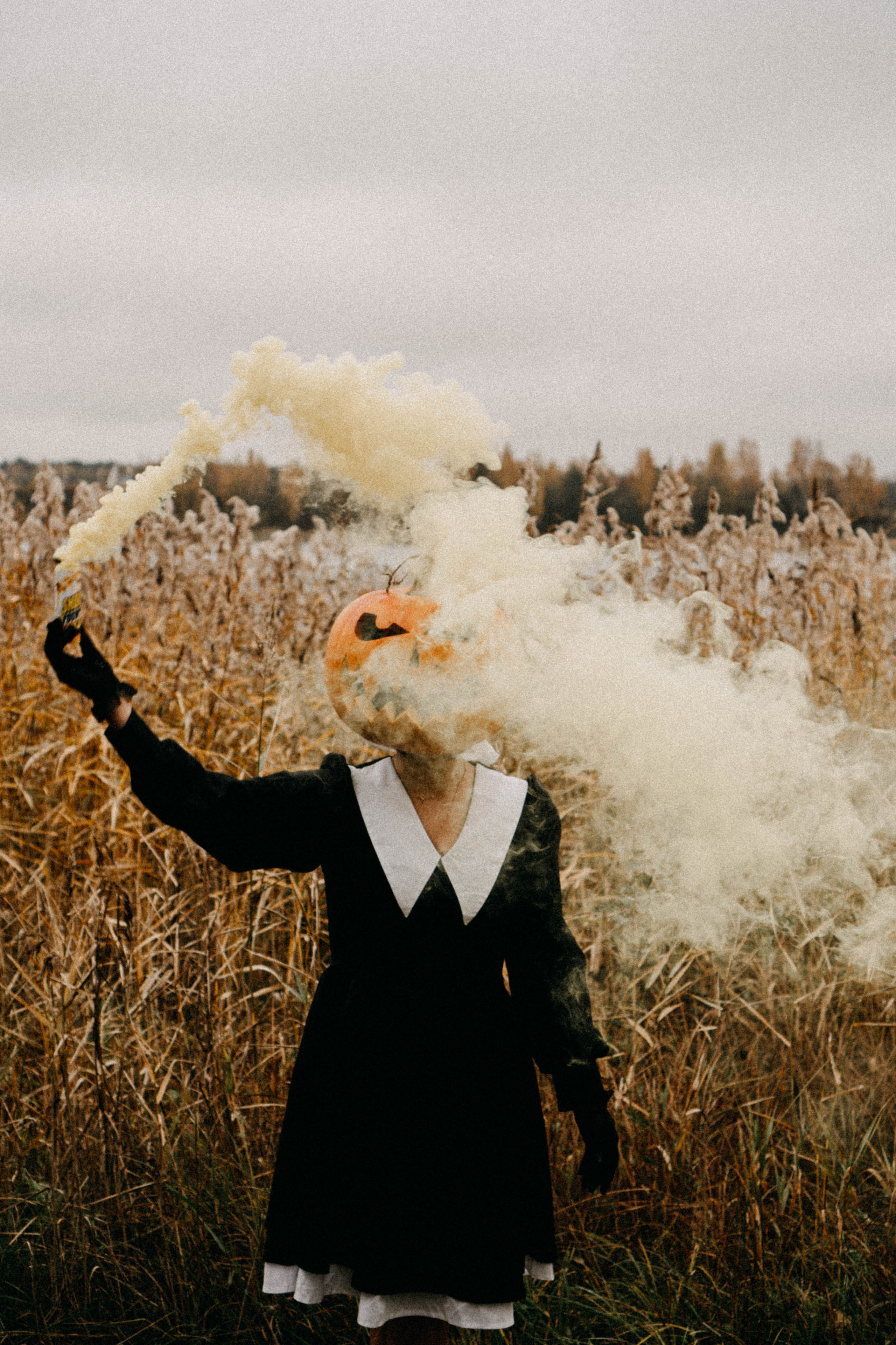 Осеняя. Профессиональный фотограф, Санкт-Петербург — Виктория Богомолова