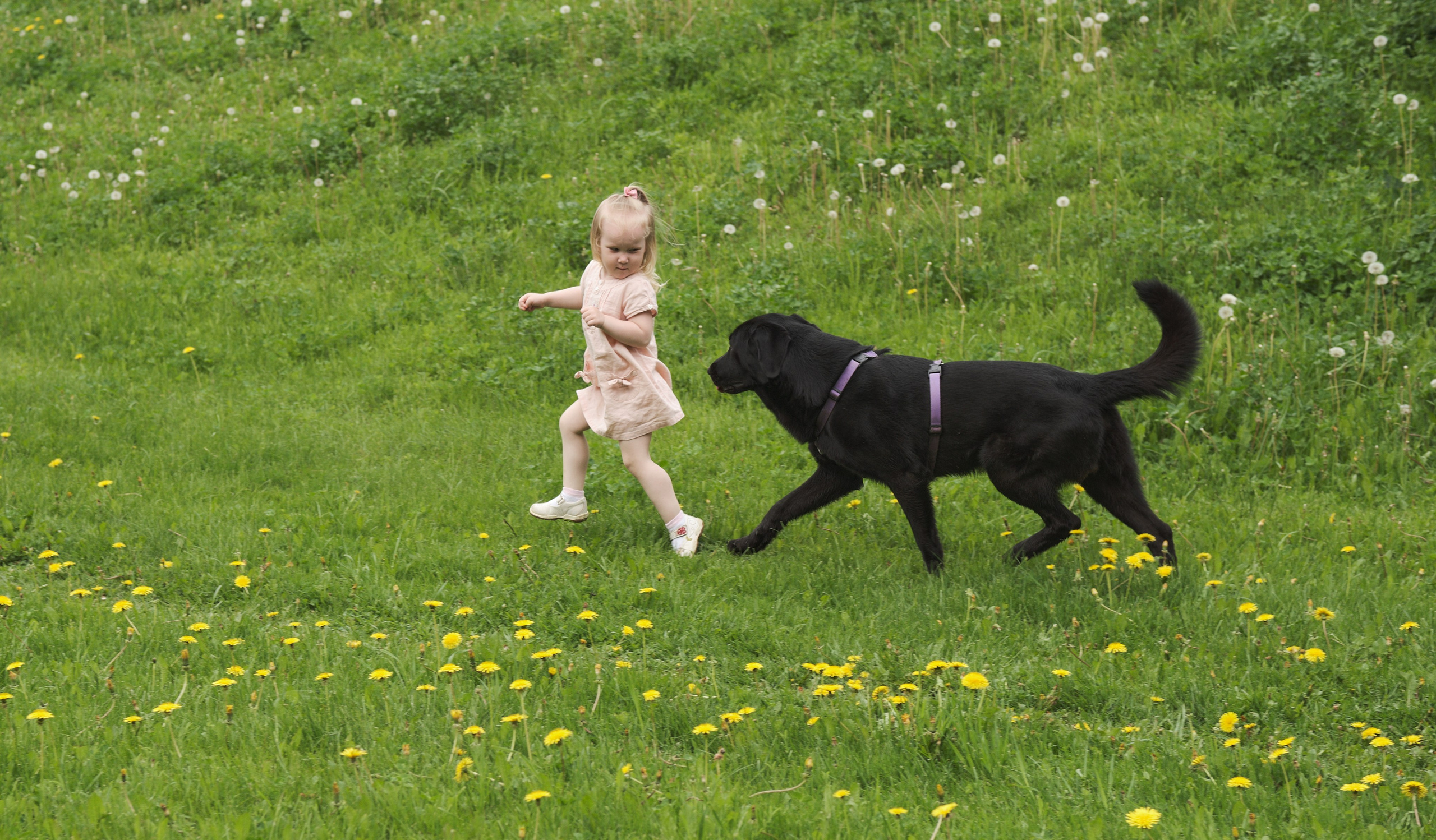 Семейная съёмка (Репортаж)