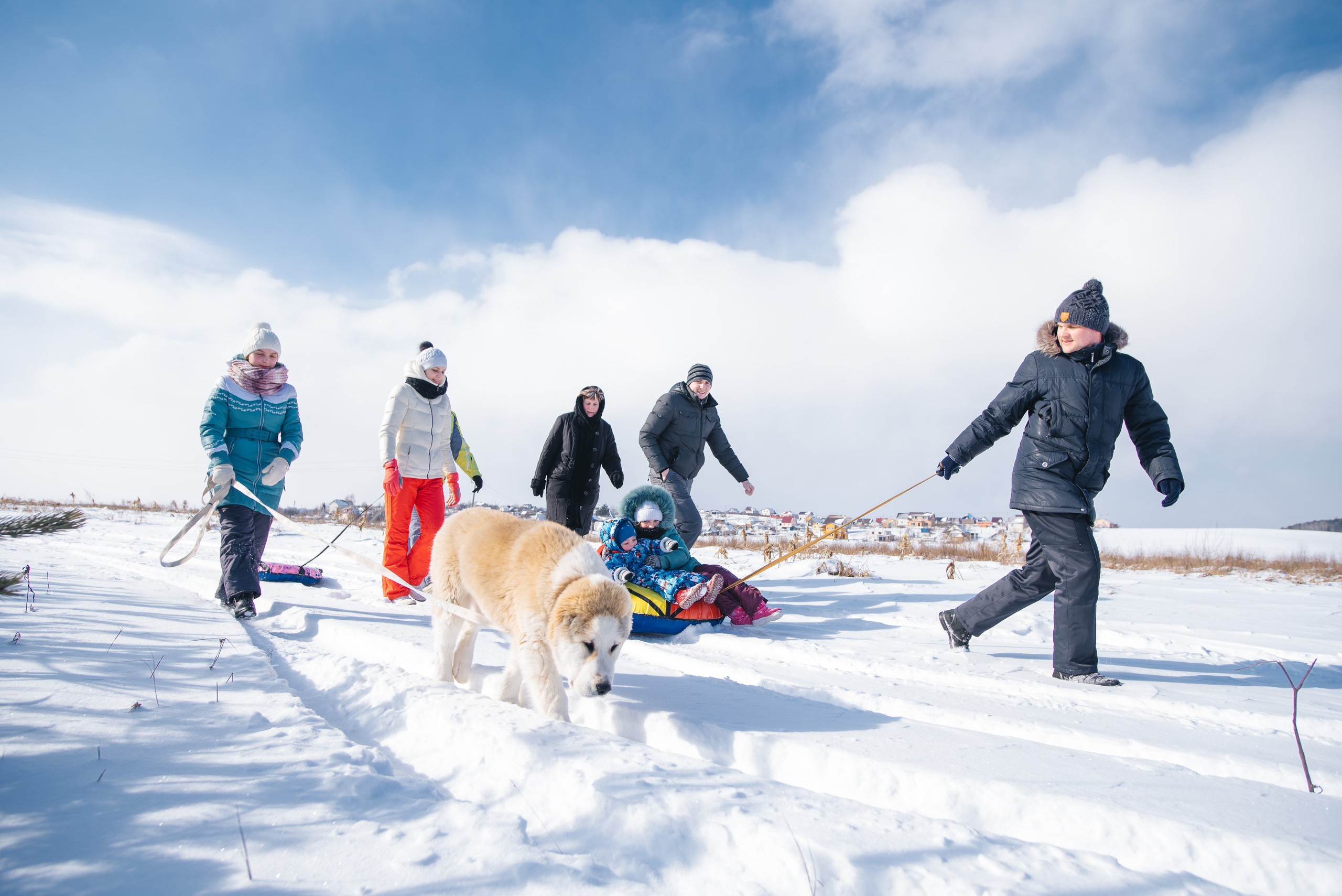 Зимняя фотосессия на улице. Свадебный и семейный фотограф в Минске Филиппович Александр