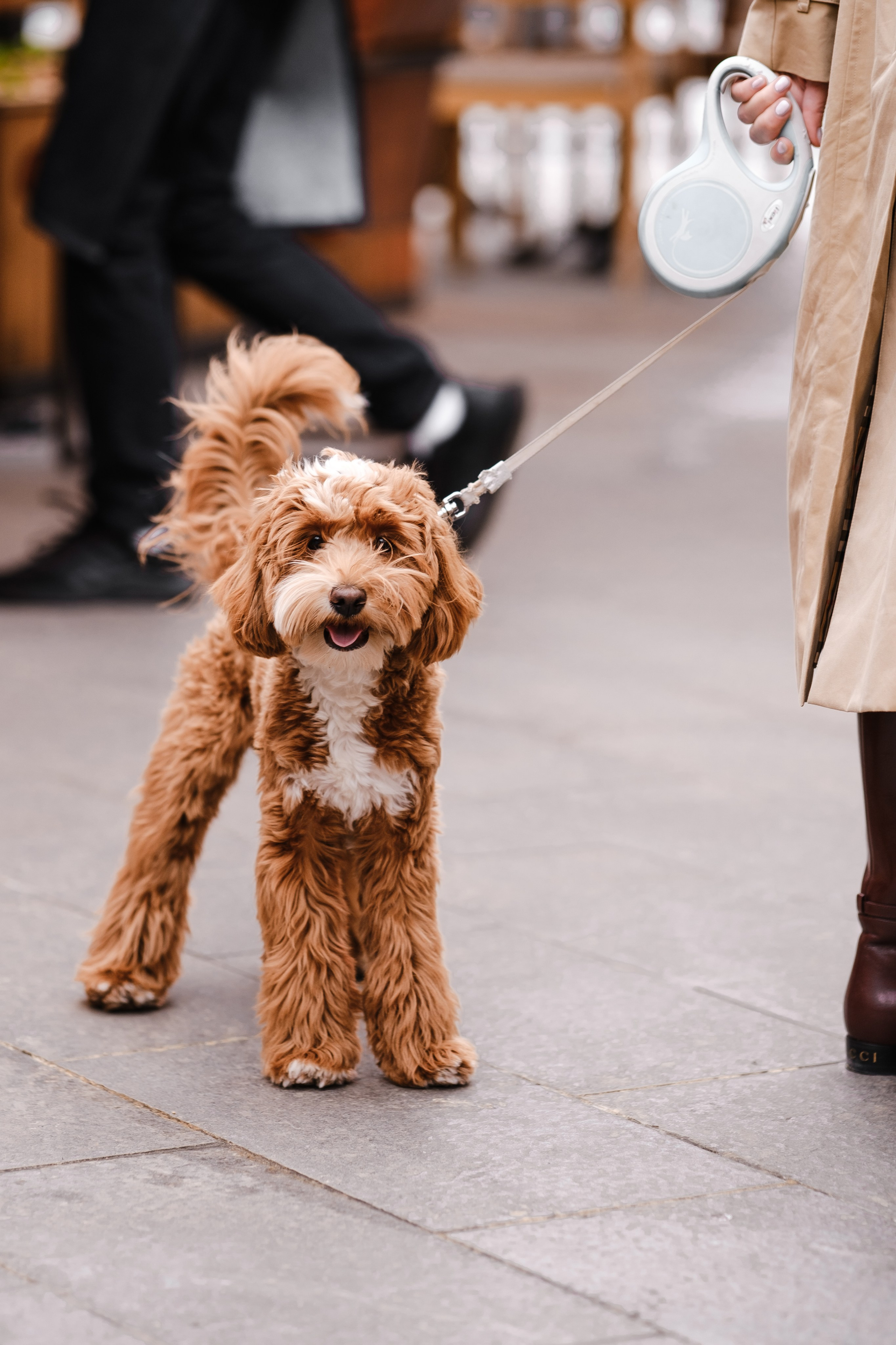Ралли Архангельское Аутлет. Свадебные фотосессии в Москве. Фотограф Сергей Ржевский