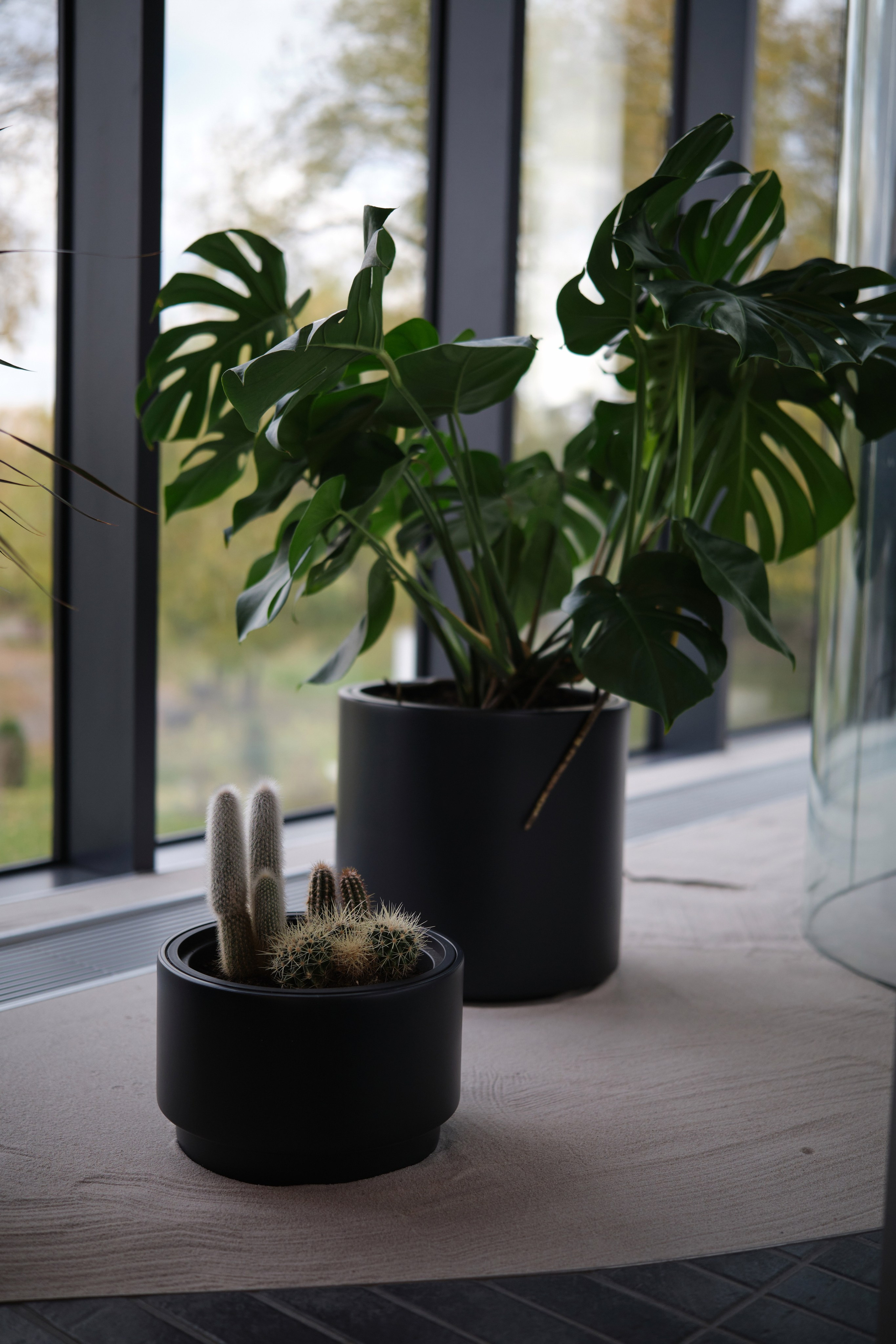 Открытие отделения Альфа Private. Репортажный фотограф Дмитрий Литвинский. Минск, Беларусь, мир