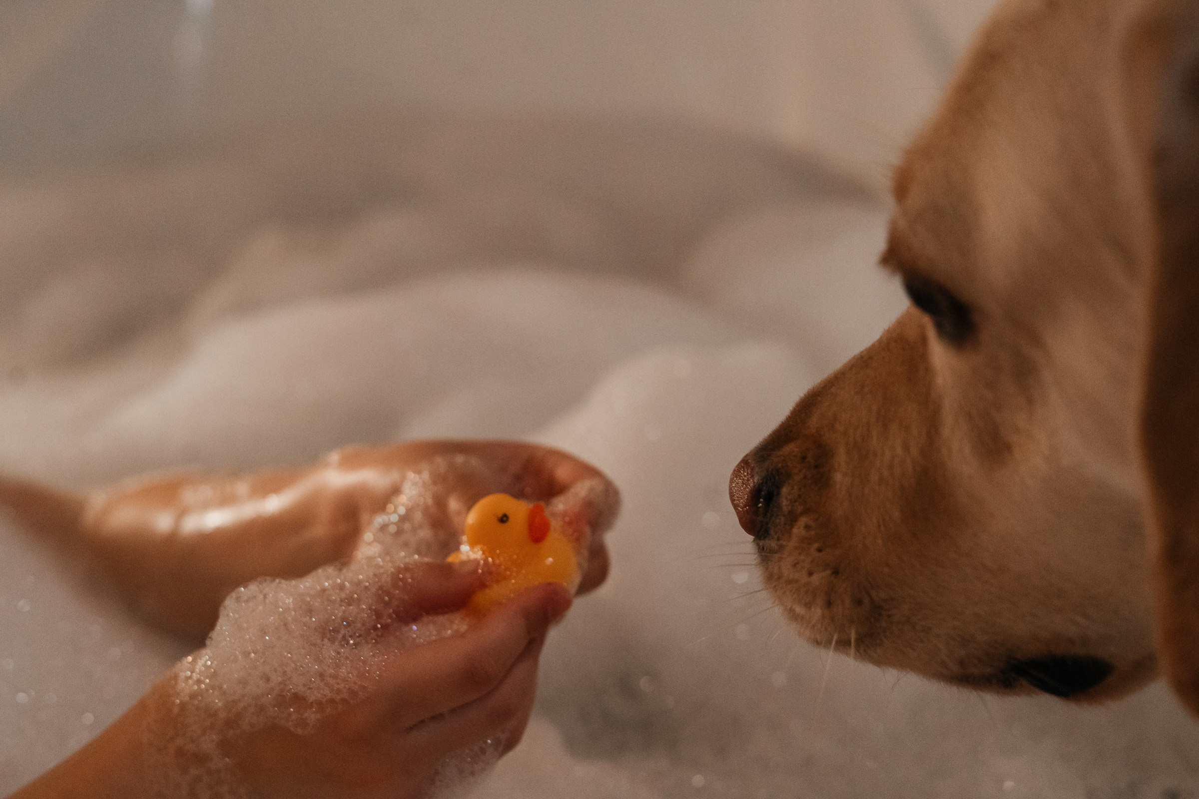 София. Ольга Брайт Семейный и Контент Фотограф в Санкт-Петербурге