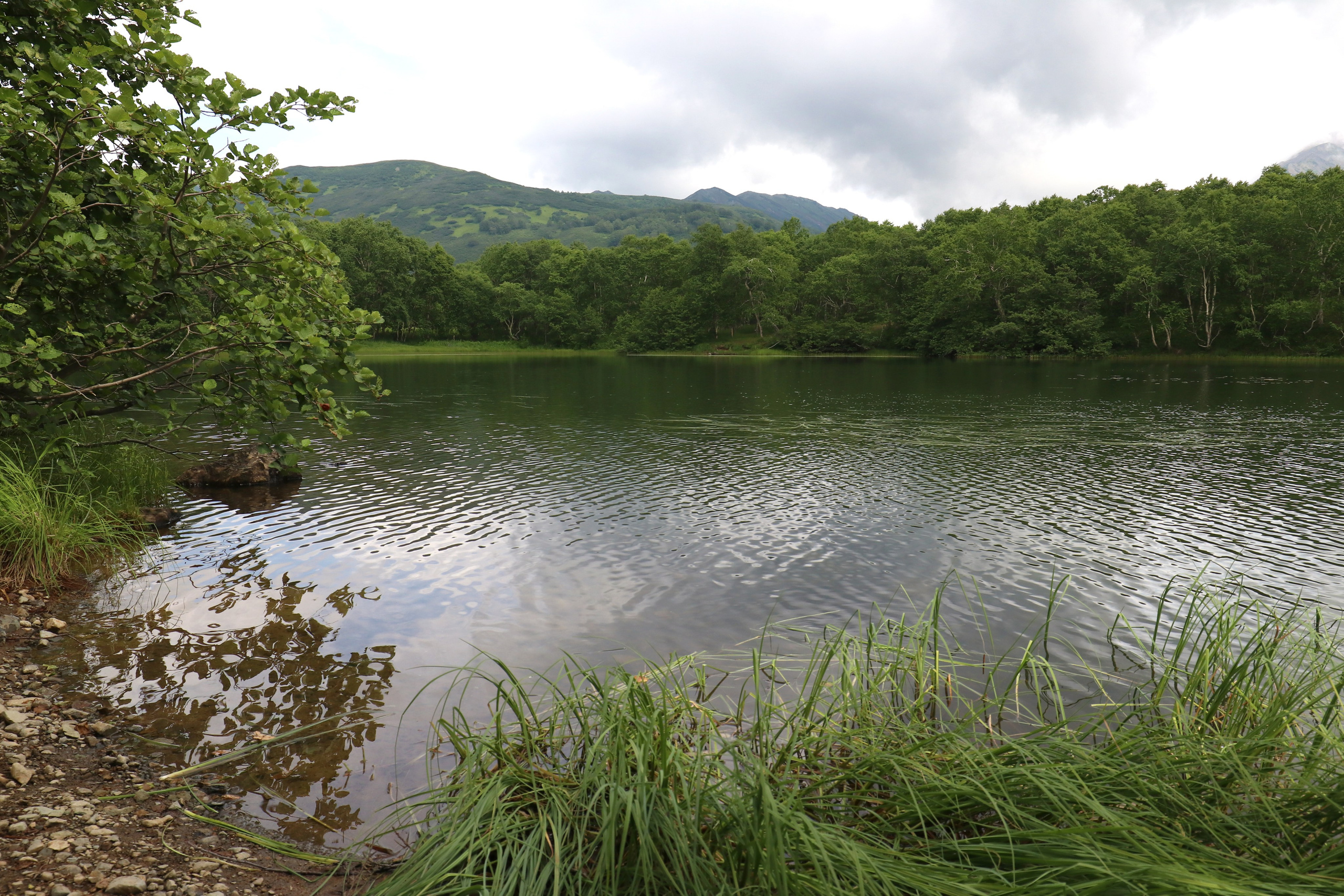 Камчатка и о. Парамушир. Июль 2024. Путешественник-фотограф из Санкт-Петербурга Татьяна Свистулина