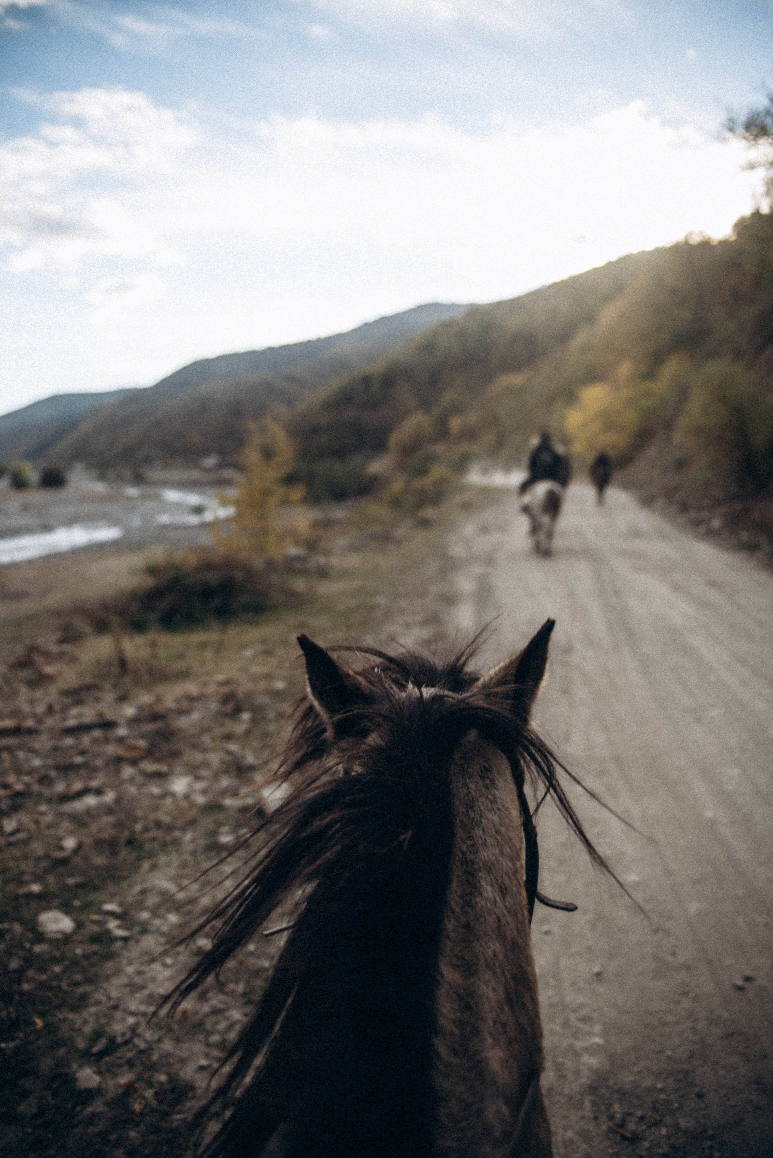 Конный поход 🇬🇪 «PVD Club». Anita_photo