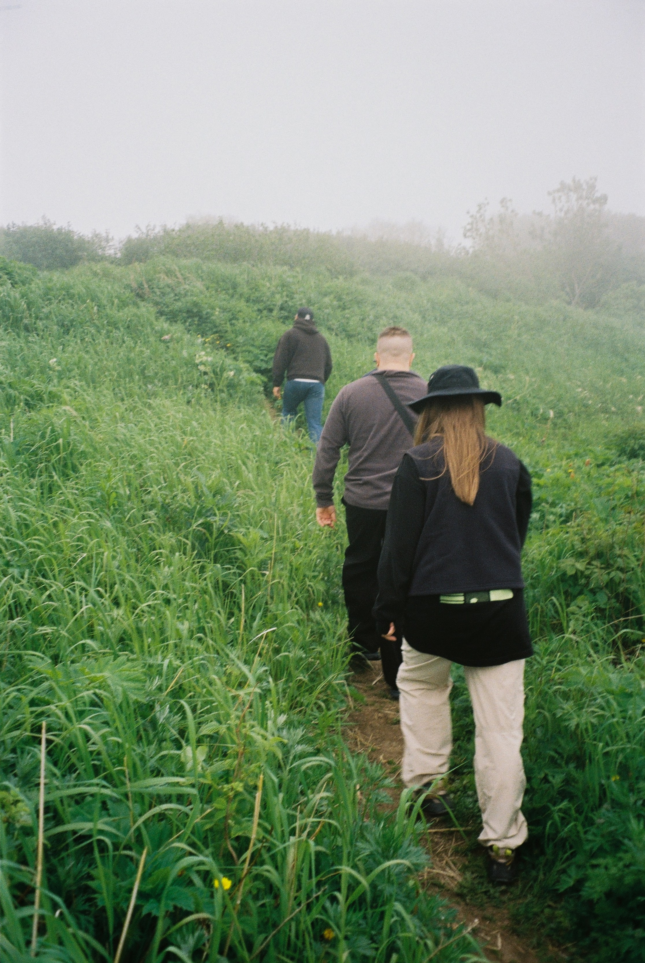 Пленка. Фотограф Ирина Гринько Тольятти Самара Москва