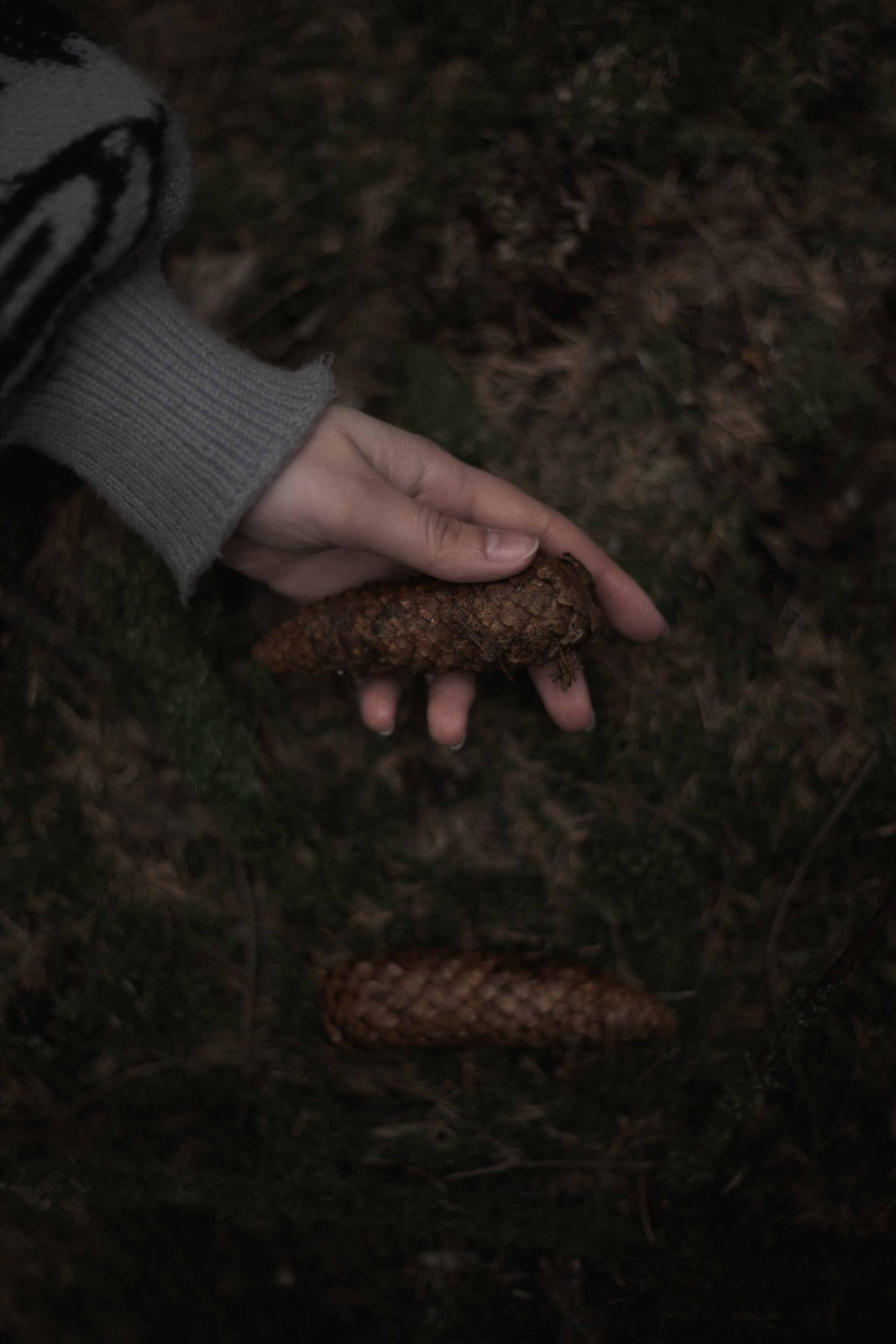 Полина Л — (Лесной массив). — Digital Noise —