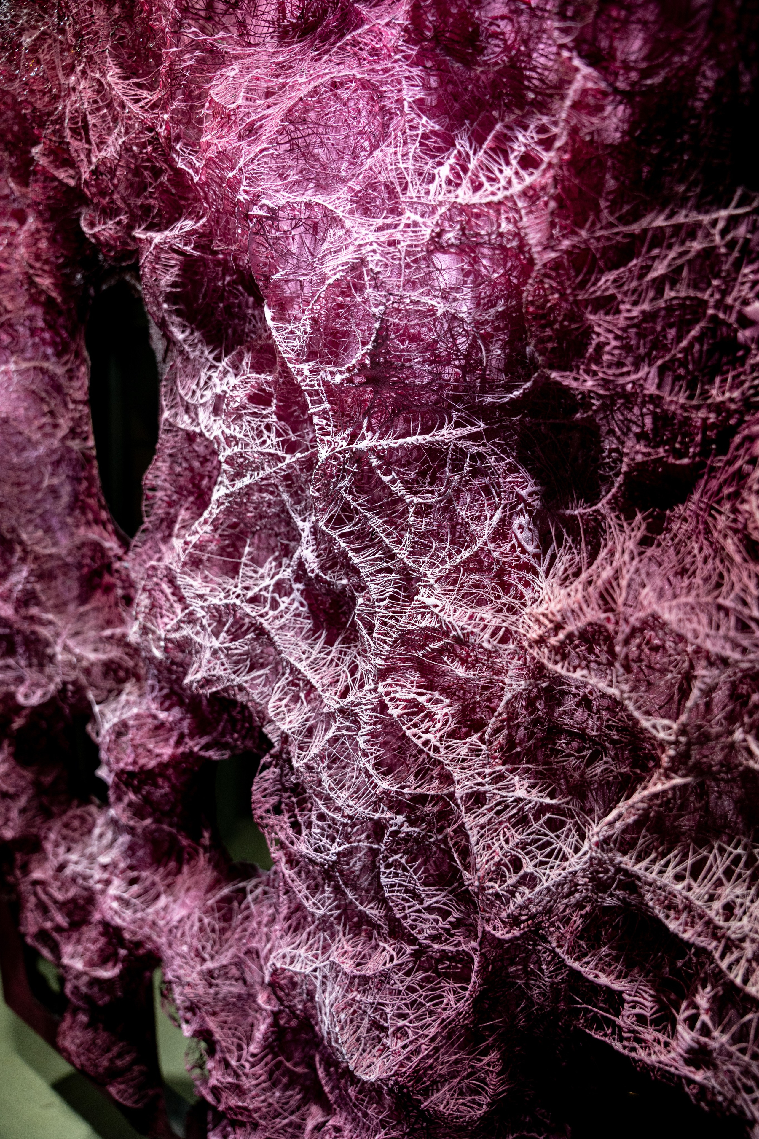 ЛЕС Авторский проект Юлии Якубович 04.11.2025. Портретный и репортажный фотограф в Москве Разуменко Роман