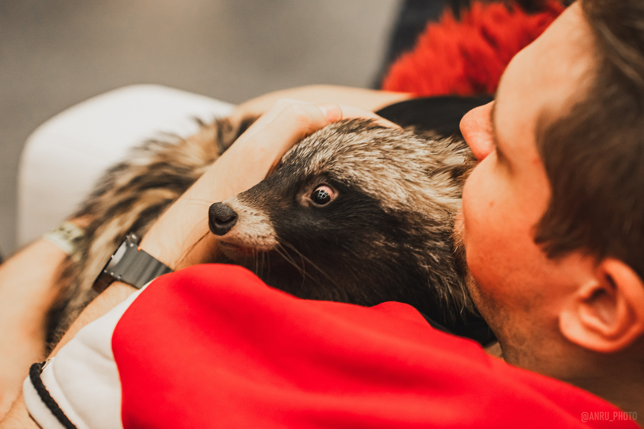 Fox Family fest. Репортажный фотограф Анастасия Рубцова