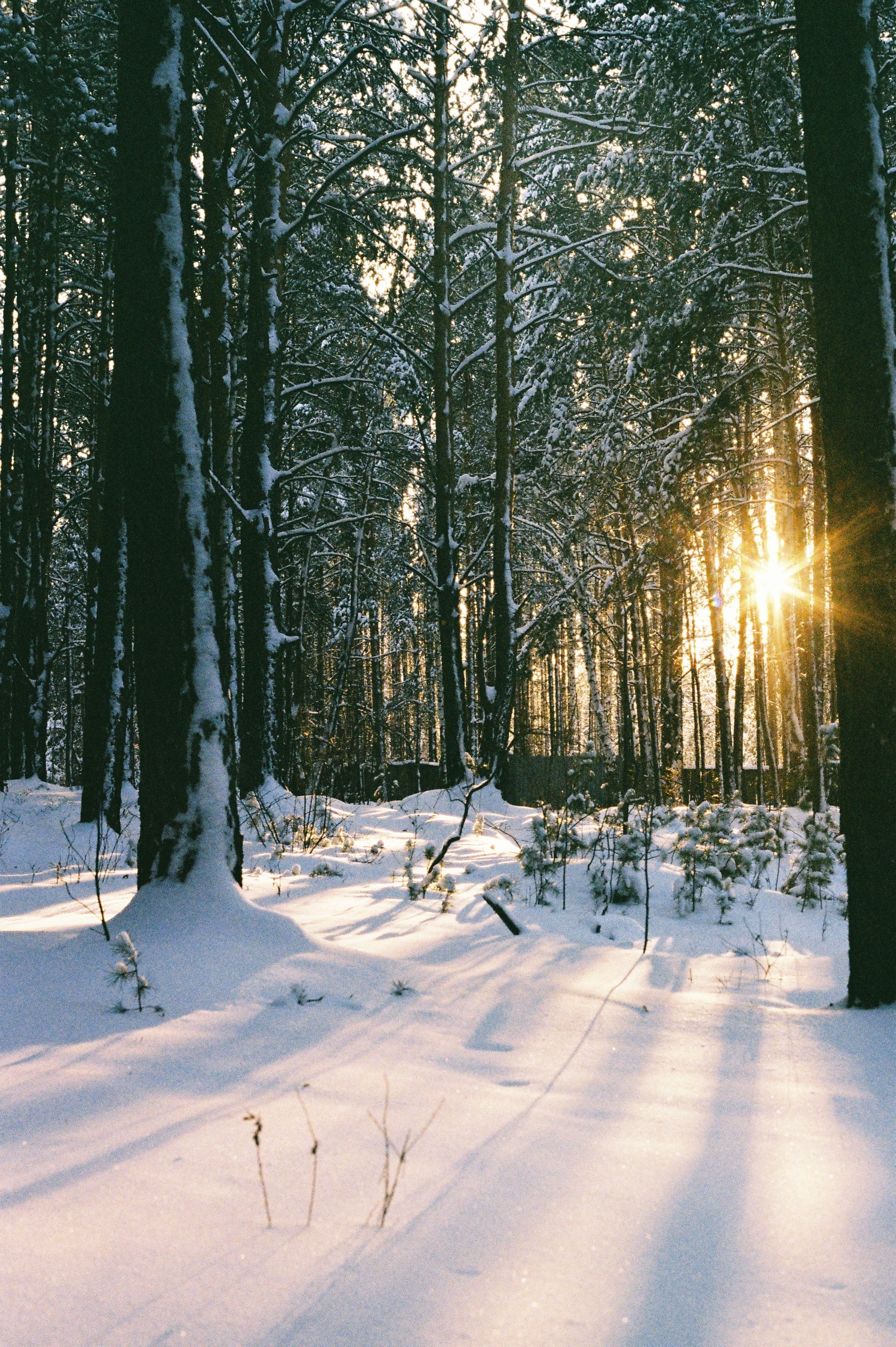 На пленку. Фотограф Настя | Экспедиции и лайфстайл