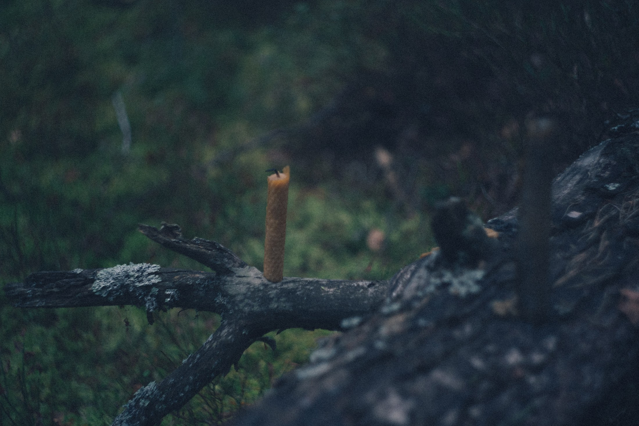 Наощупь. Алиса Аницкая