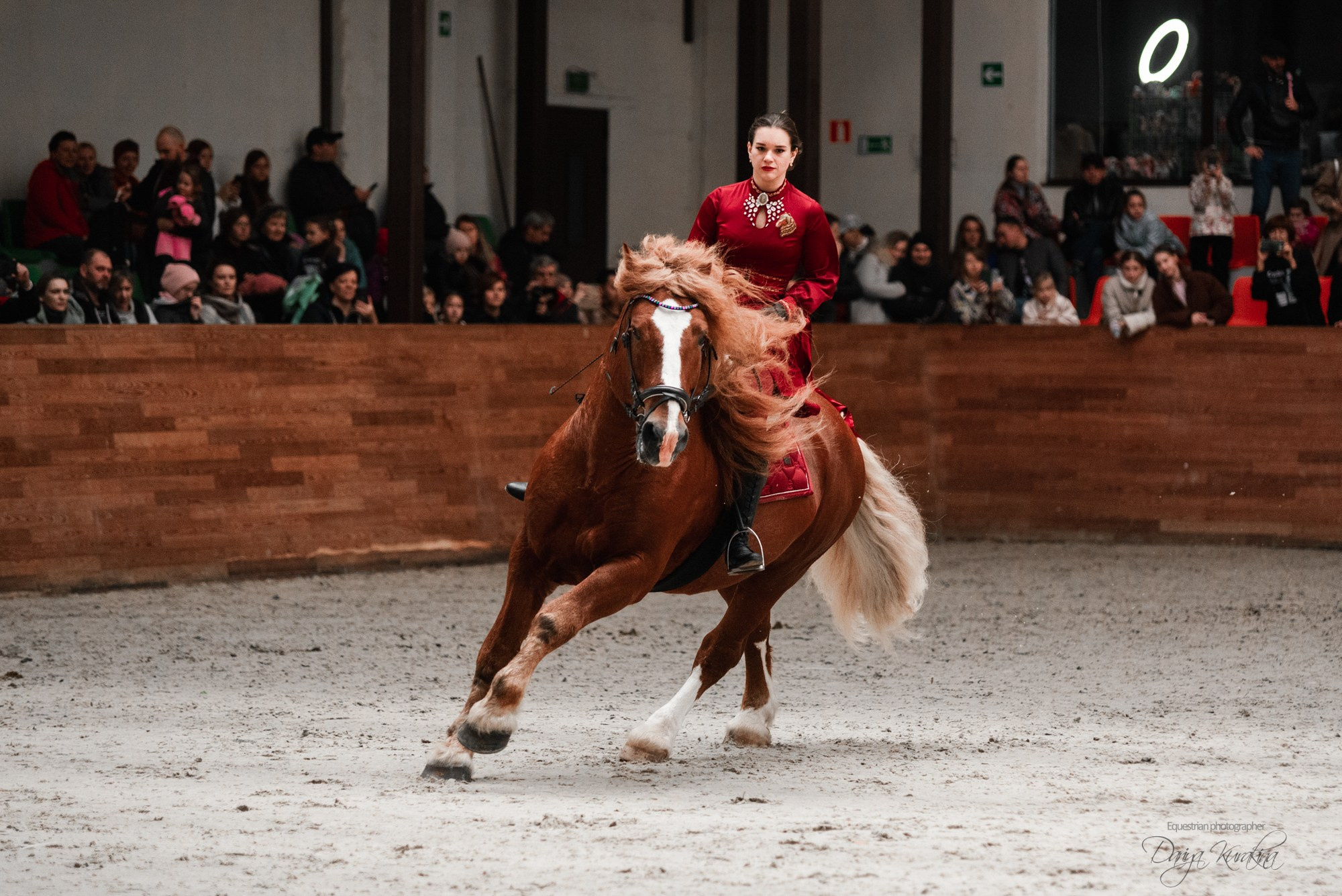 8-я международная выставка Конная Россия. Конный фотограф Куракина Дарья • Фотосессии с лошадьми
