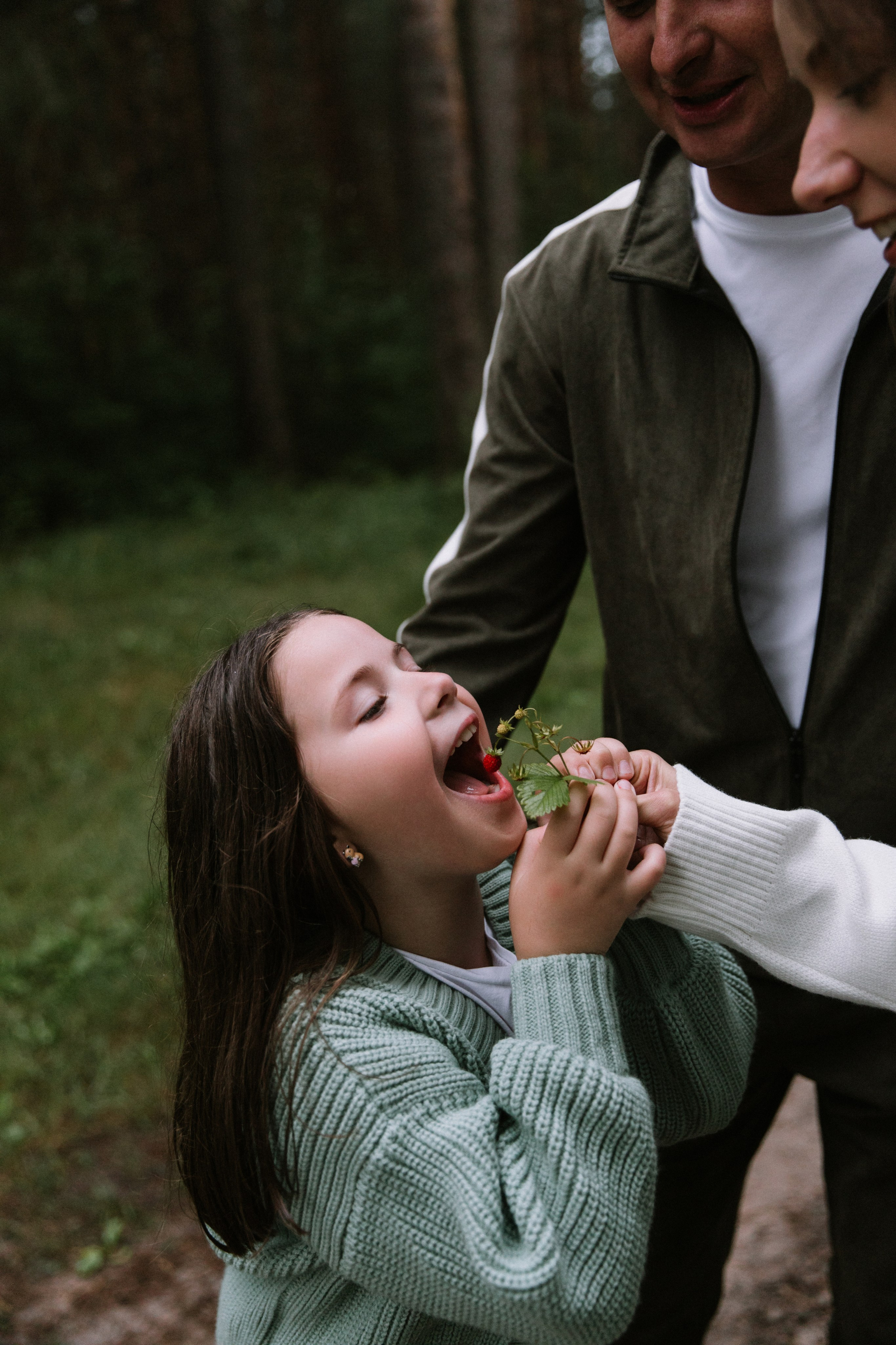 Лесная история. Фотограф Катя Трусова