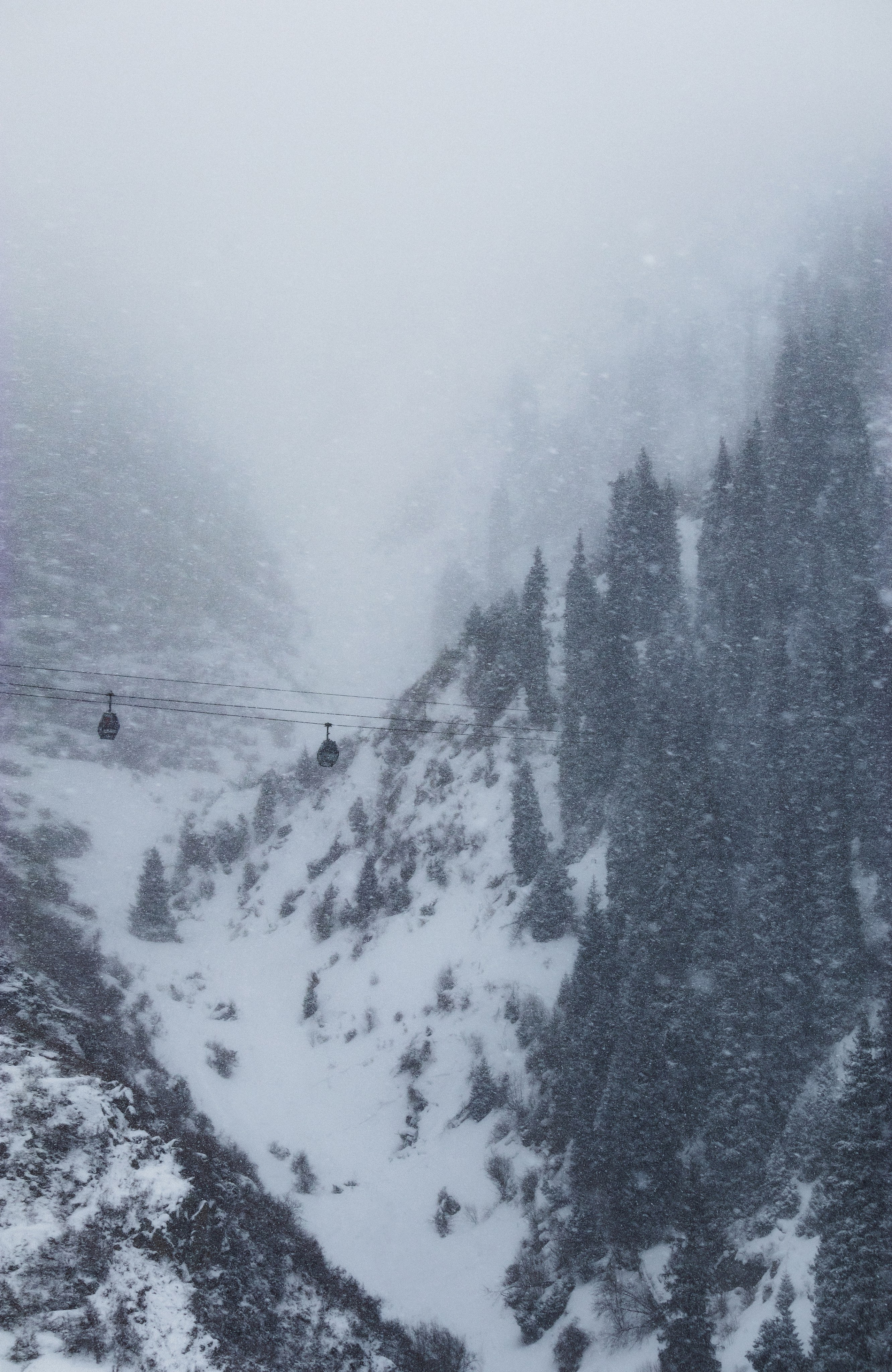 Жизнь. Фотограф Алматы | Весь мир — Никита Колодин