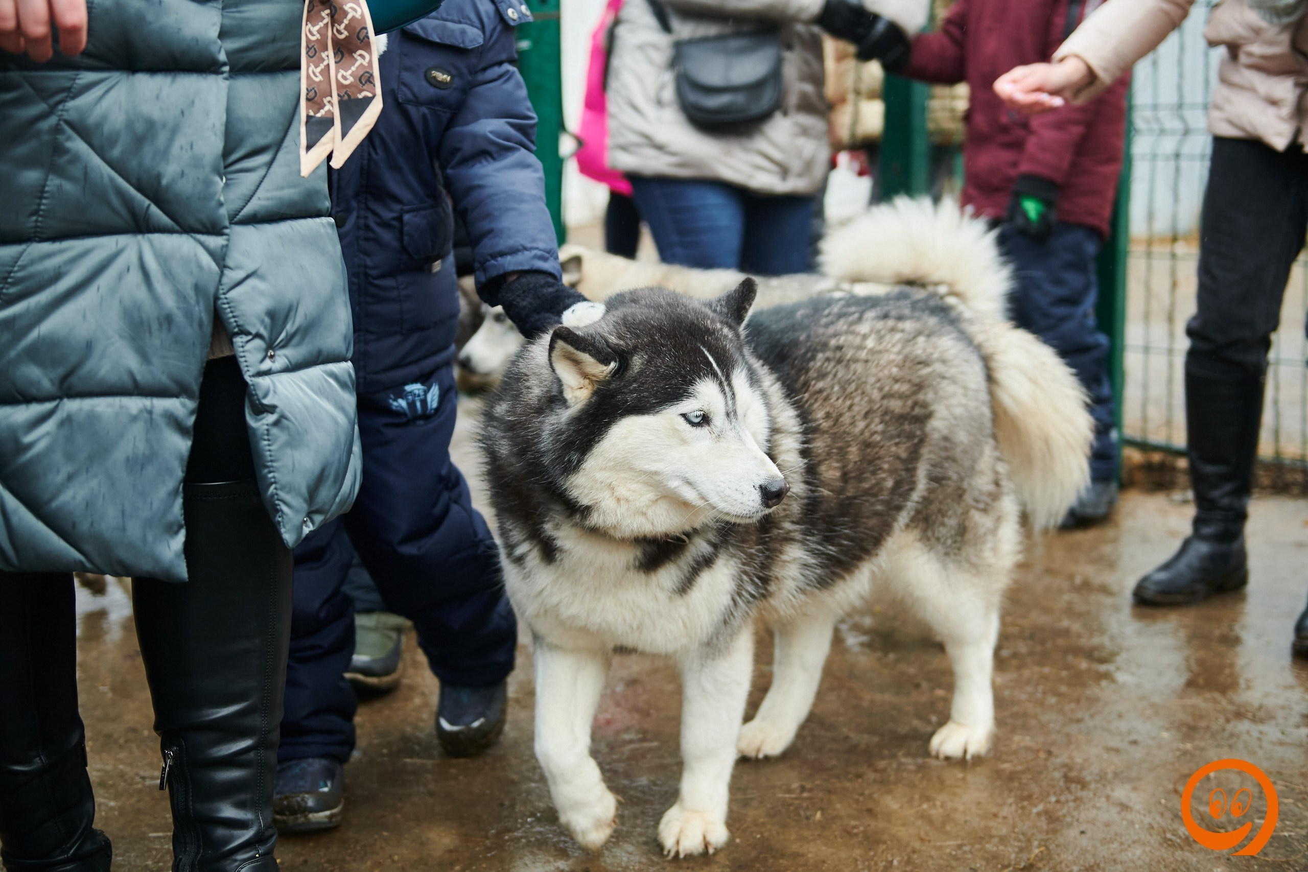 В гости к северным оленям | 18.01.2025. Галерея Фантим