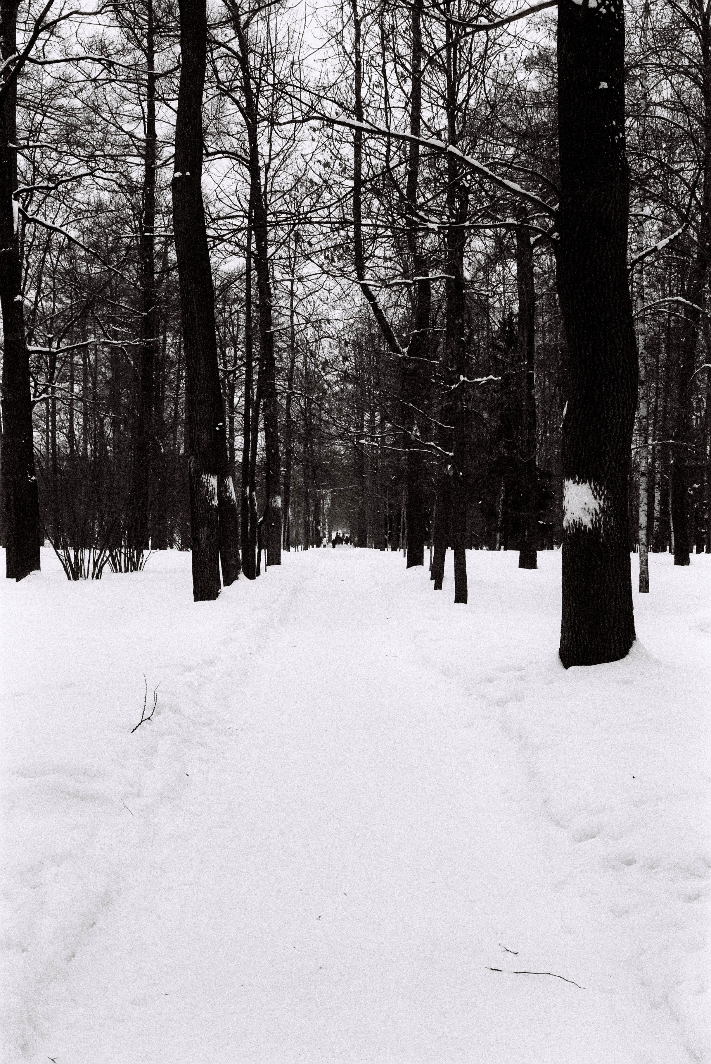 Film. Ruslan UI Dev Page