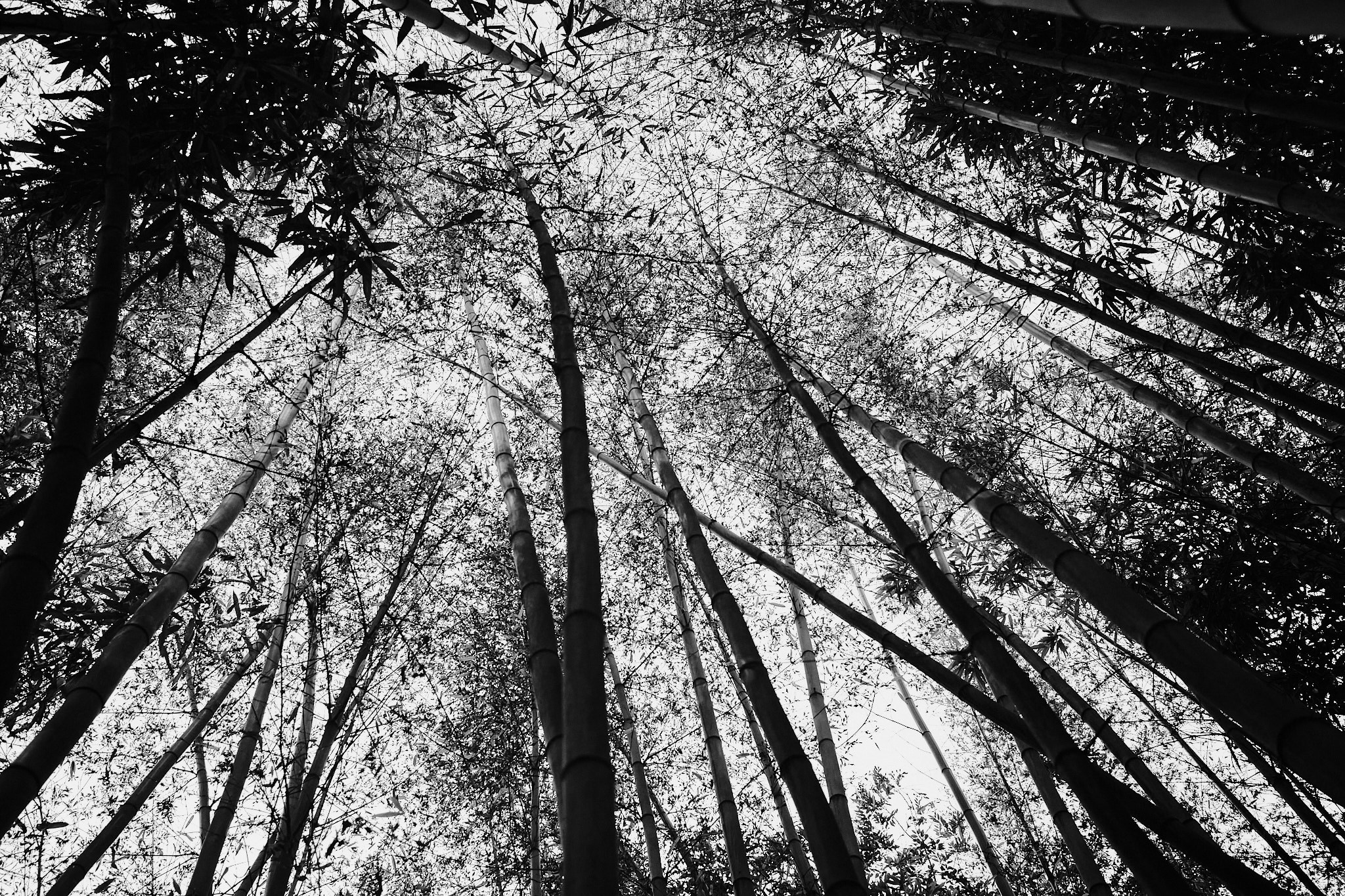 Фотограф Владимир Кононенко