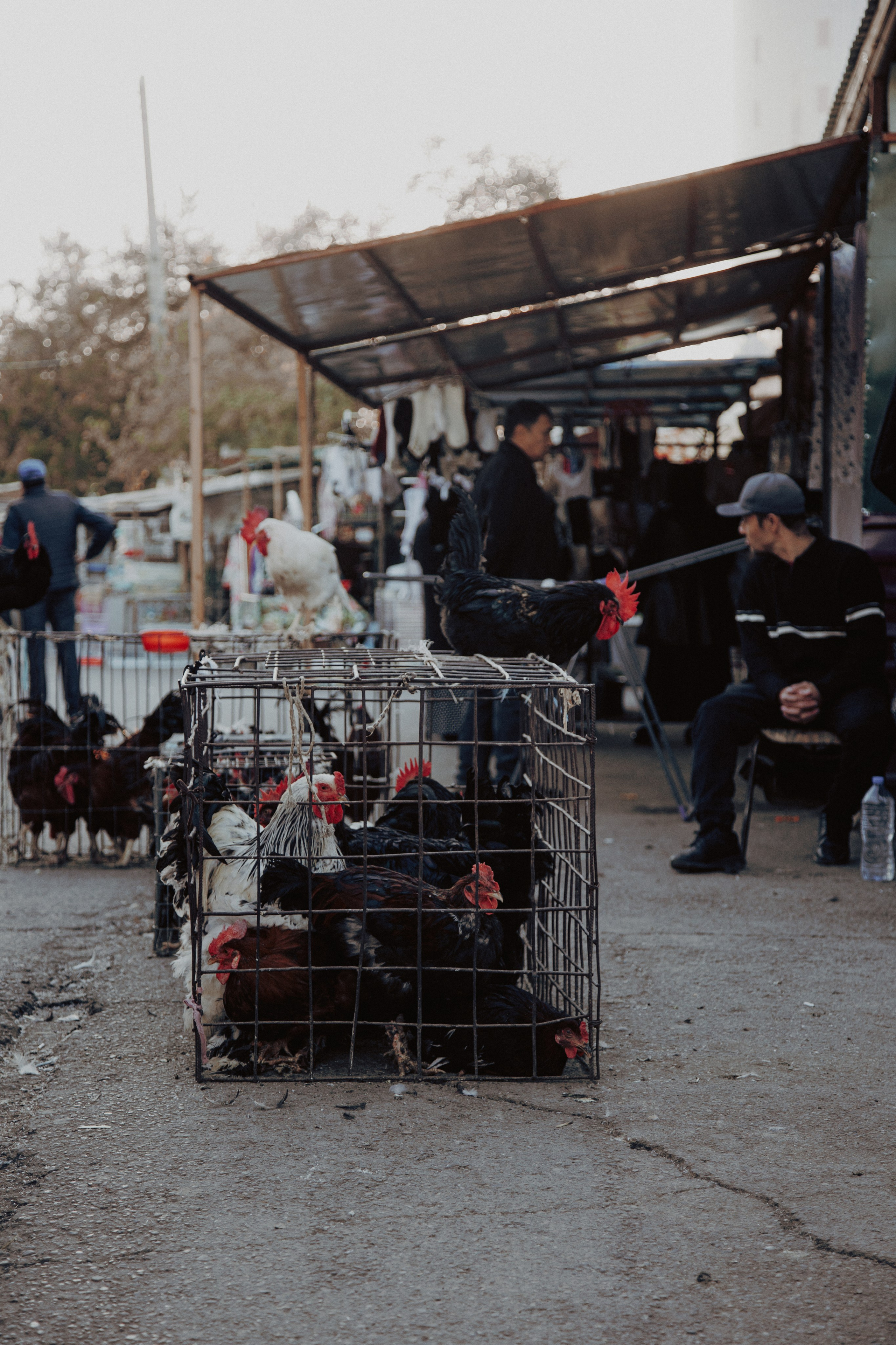 Узбекистан. Креатор Ольга Яш