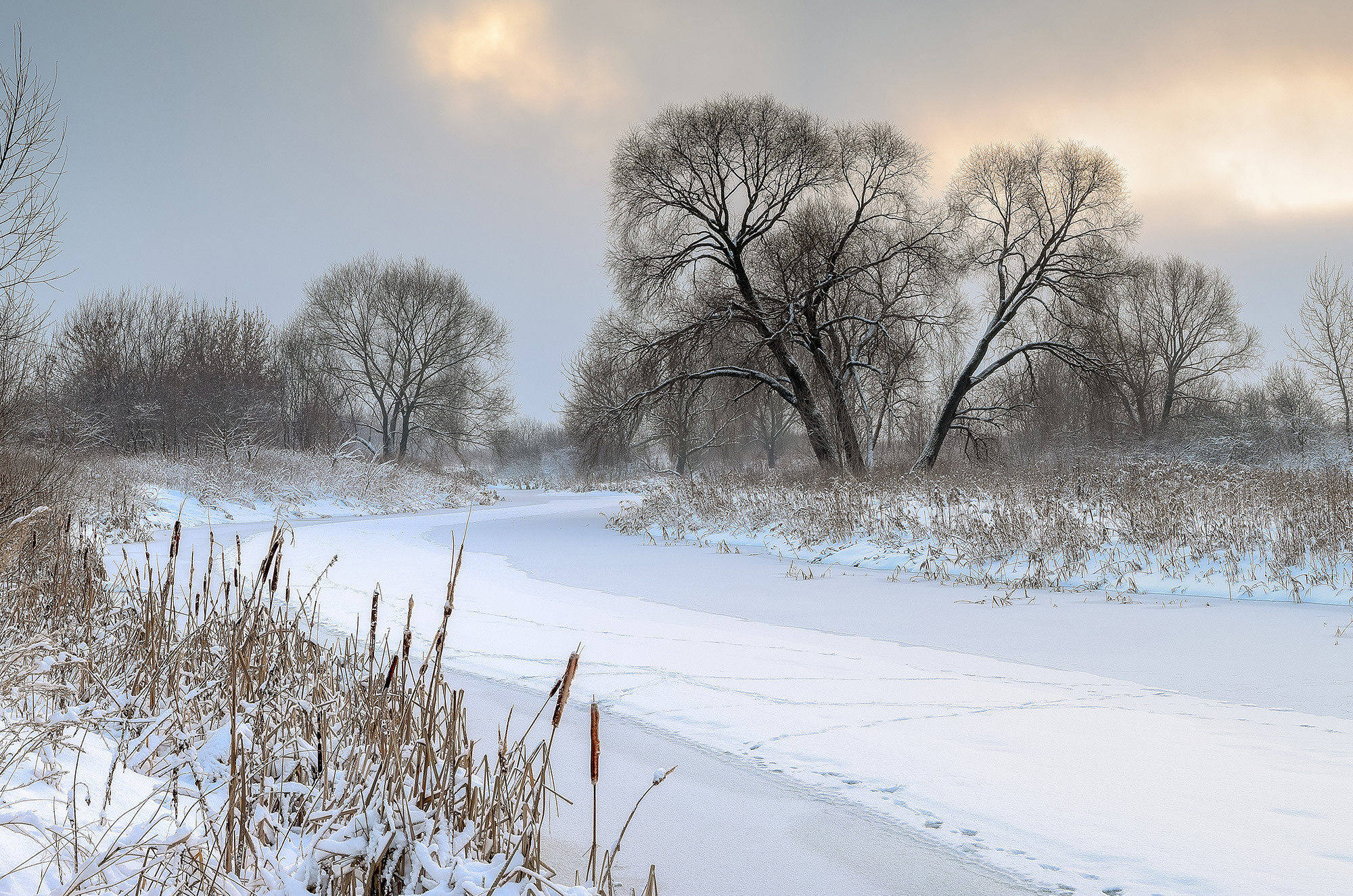 Зимнее утро на речке Быковка