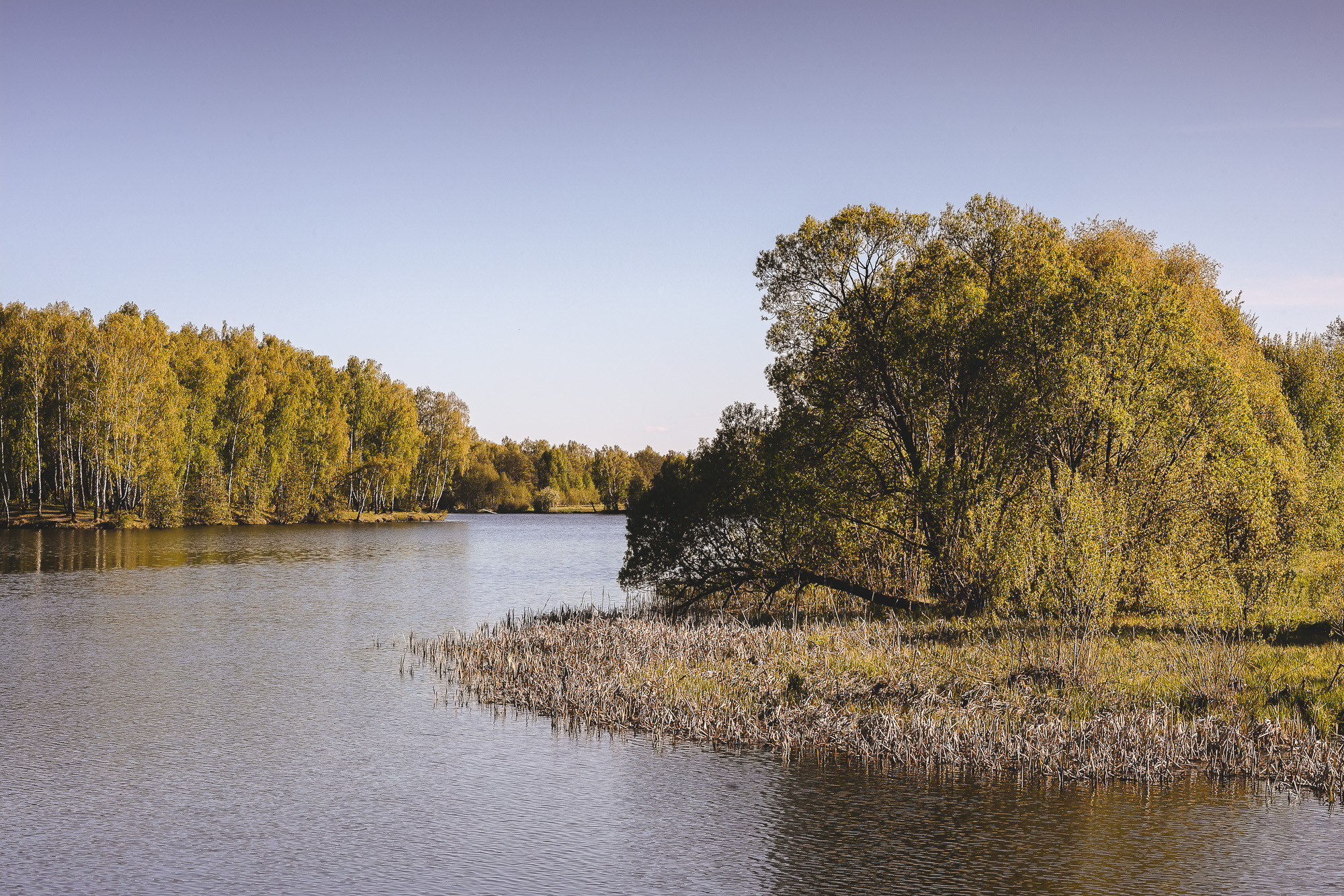 Весенний день на реке Жданке