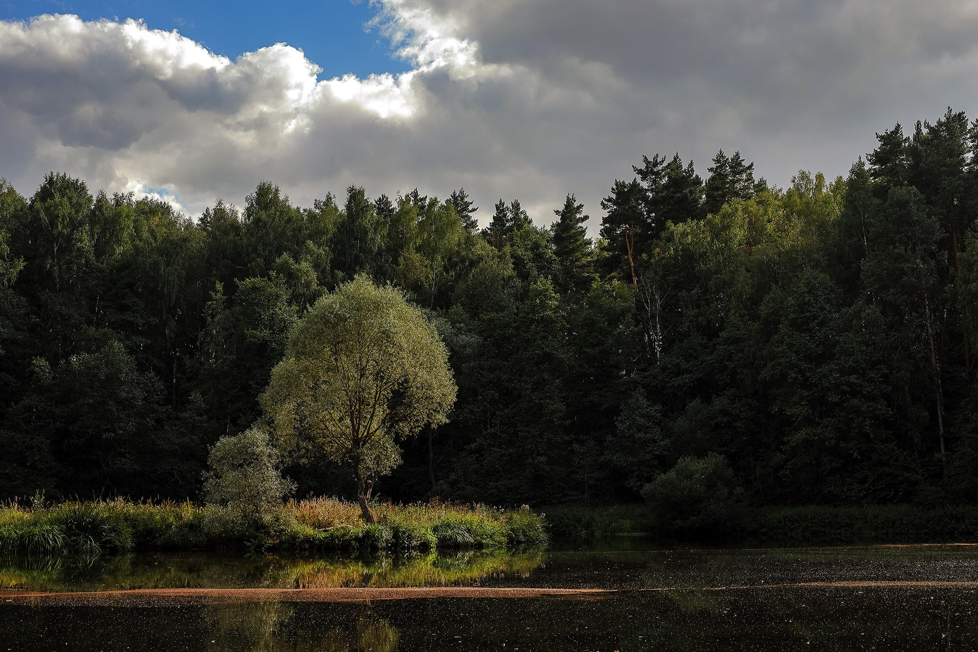 Осенняя тишина на лесном озере