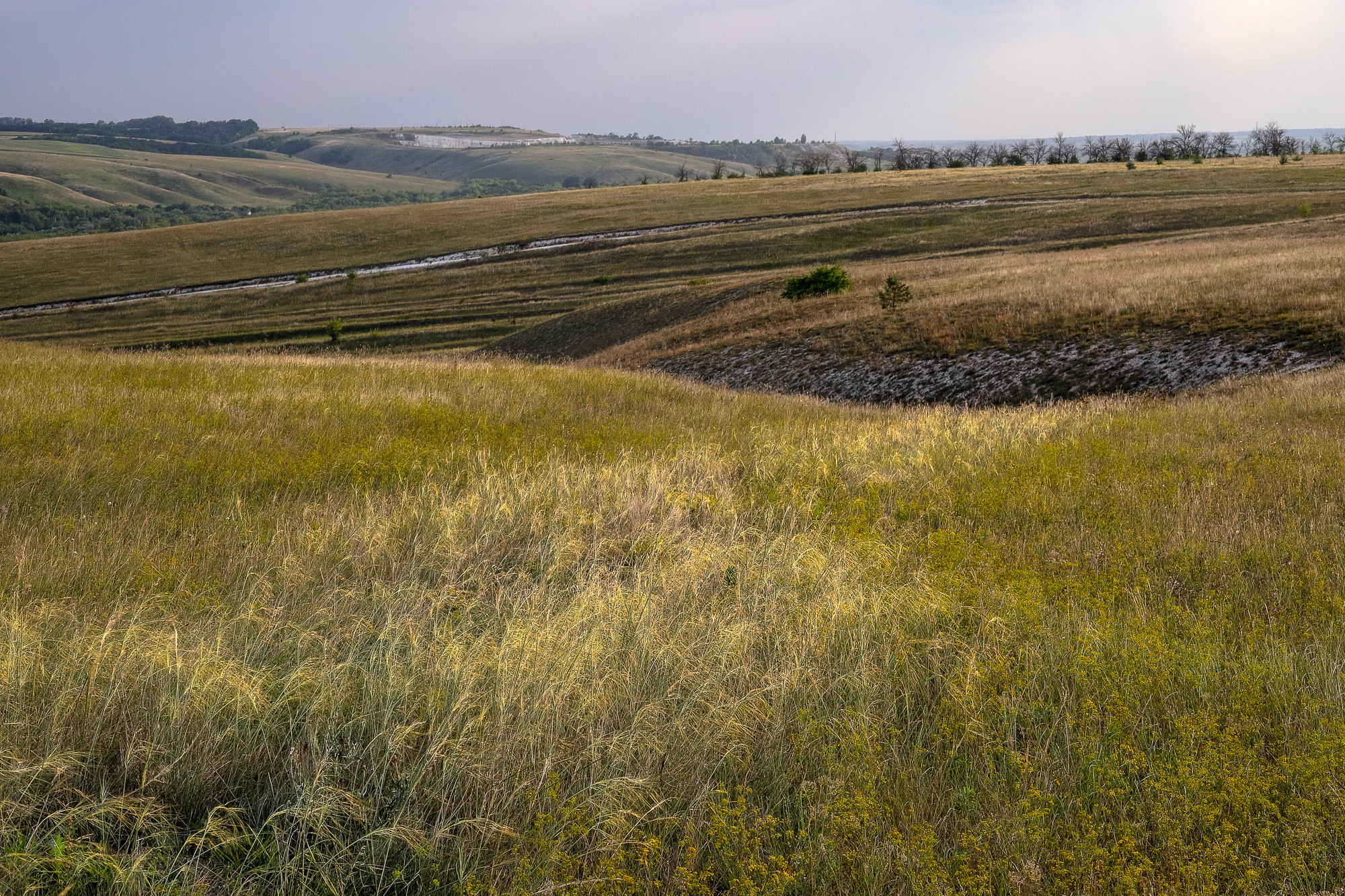 Воронежская область ландшафт