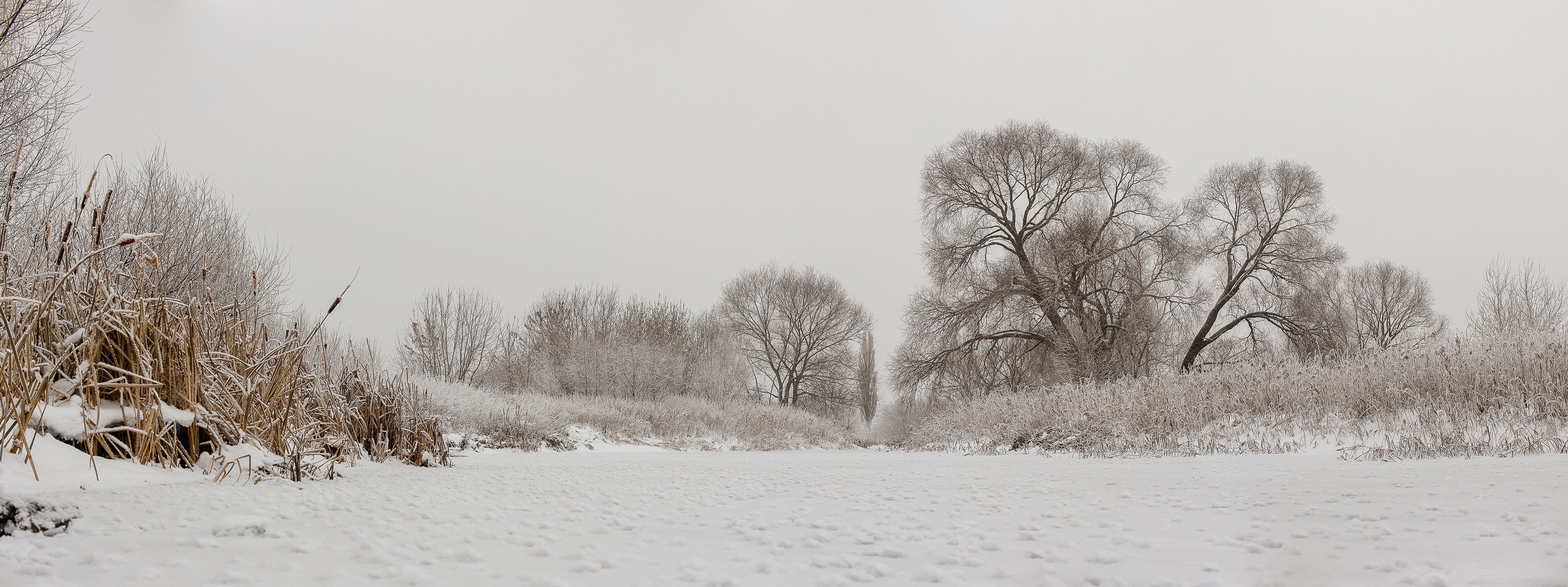 Морозная белизна фото панорама замерзшей речки
