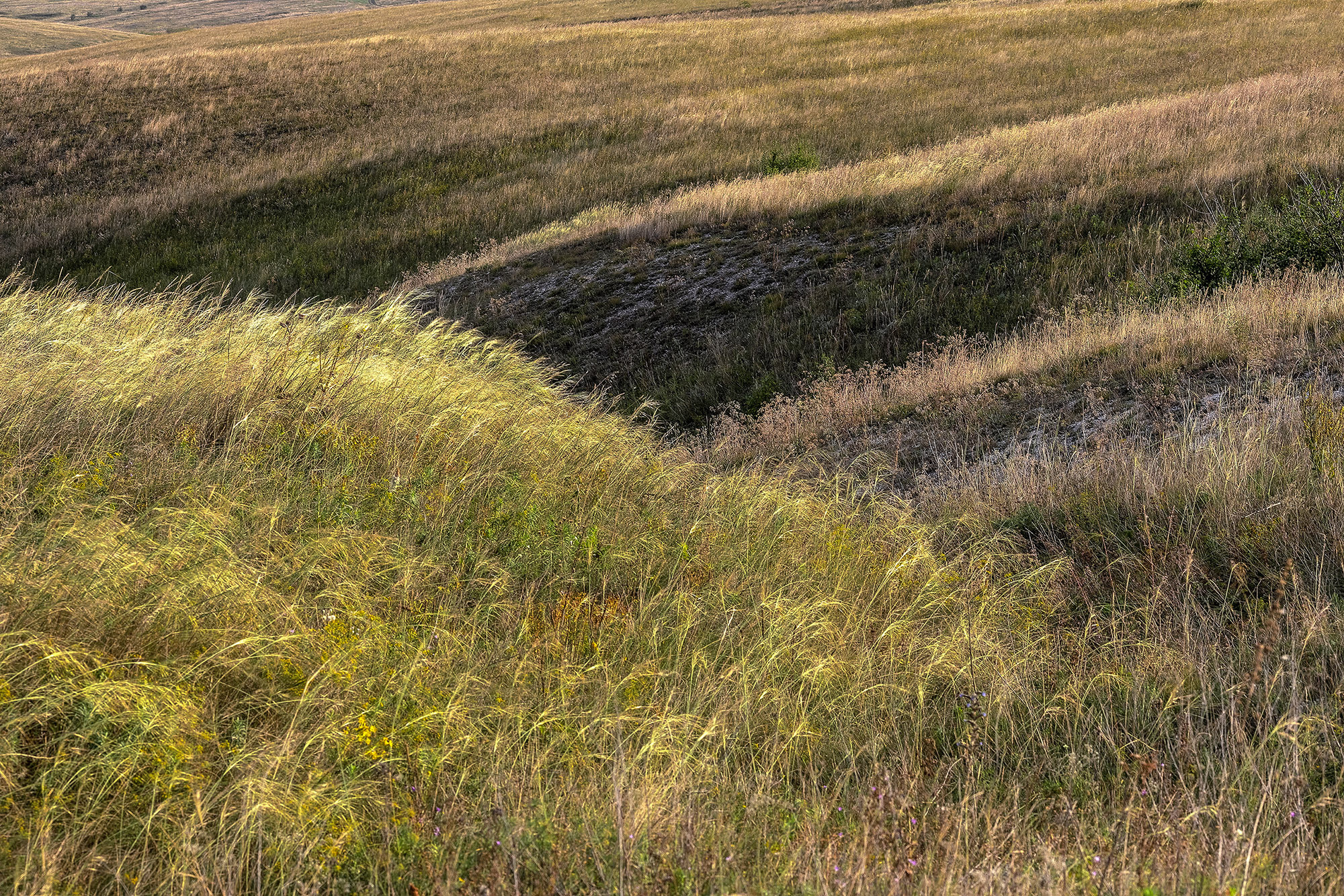 Фотосессия модели в студии