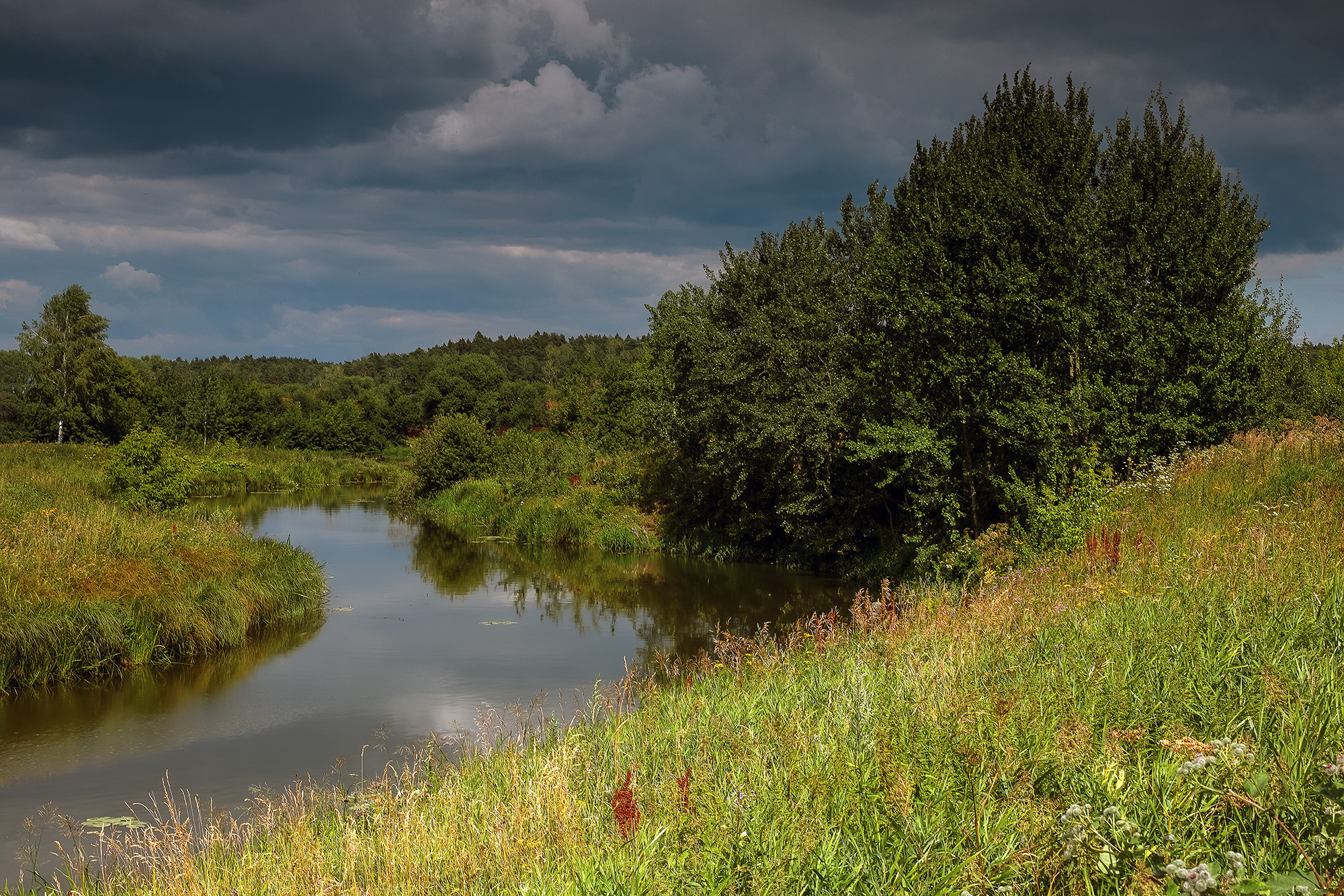 Сюрпризы природы грозовое небо над летней речкой