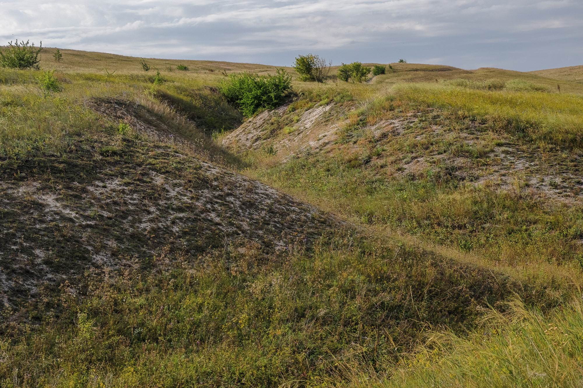 Пейзаж плато в Дивногорье