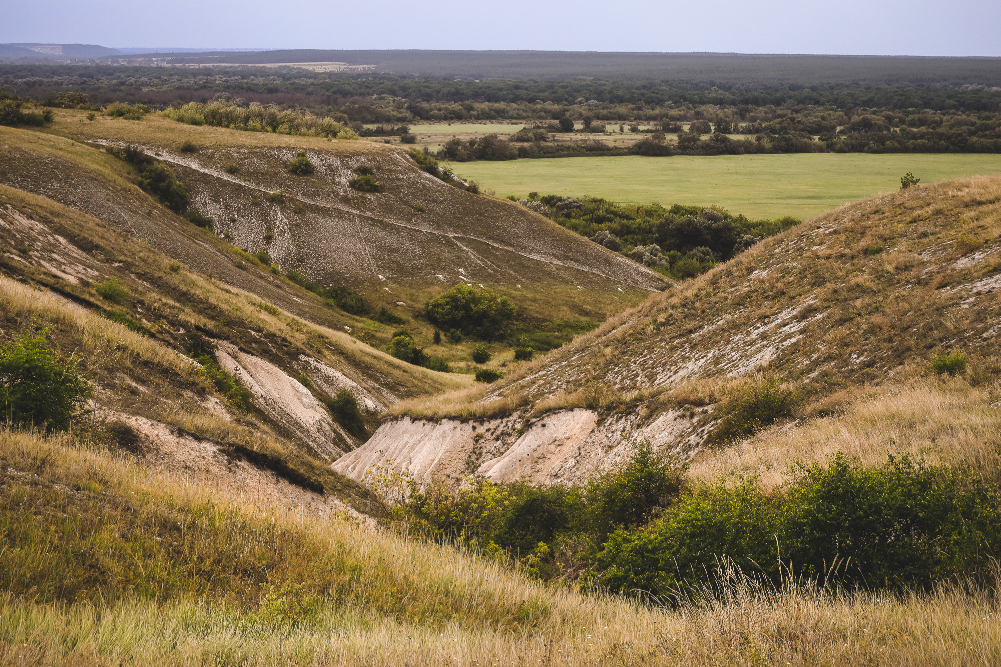 Дивногорье ландшафт лето Воронежская область