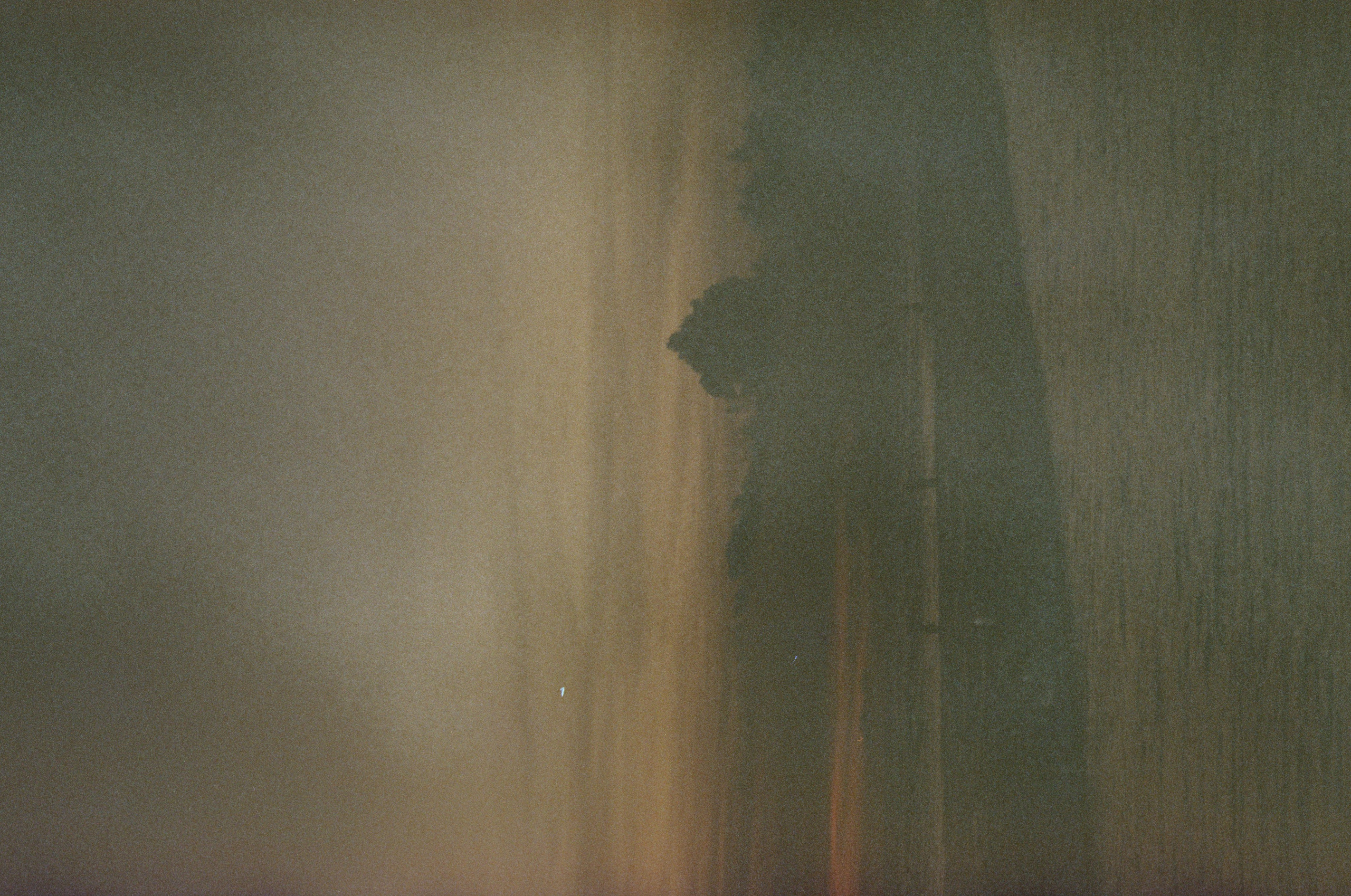 Who u are?. Carolinetru