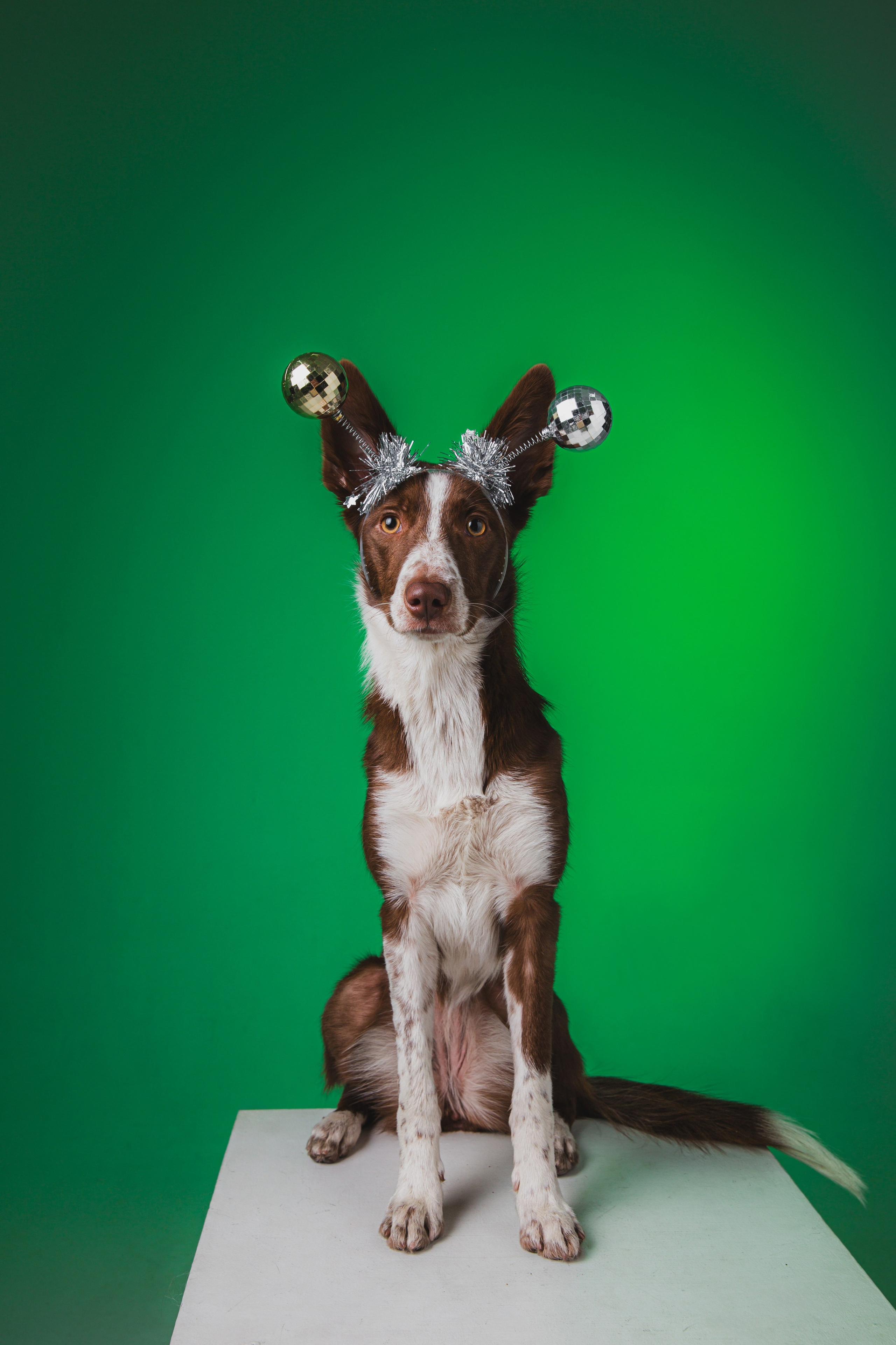 Воркшоп по импульсному свету