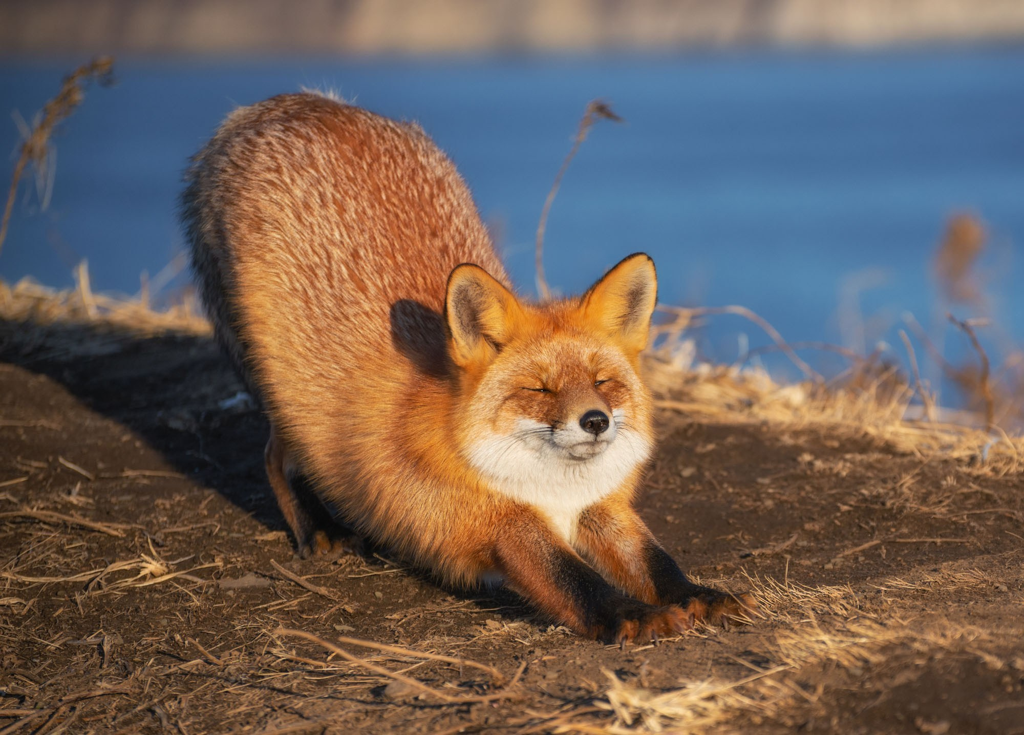 Фототур в Приморье 2026