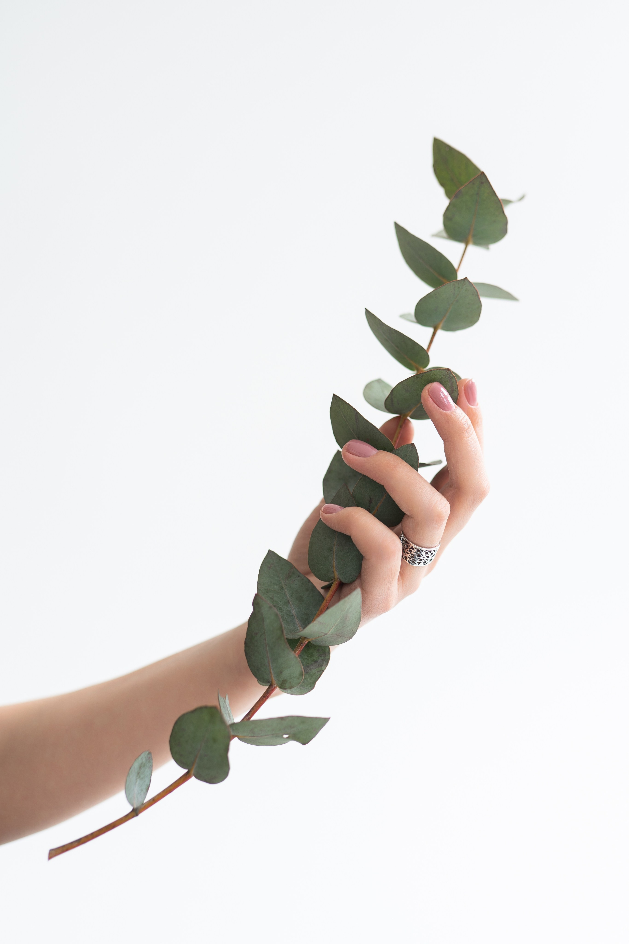 Мастерская свадебного декора «Grace». Фотограф в Самаре Иван Булатов