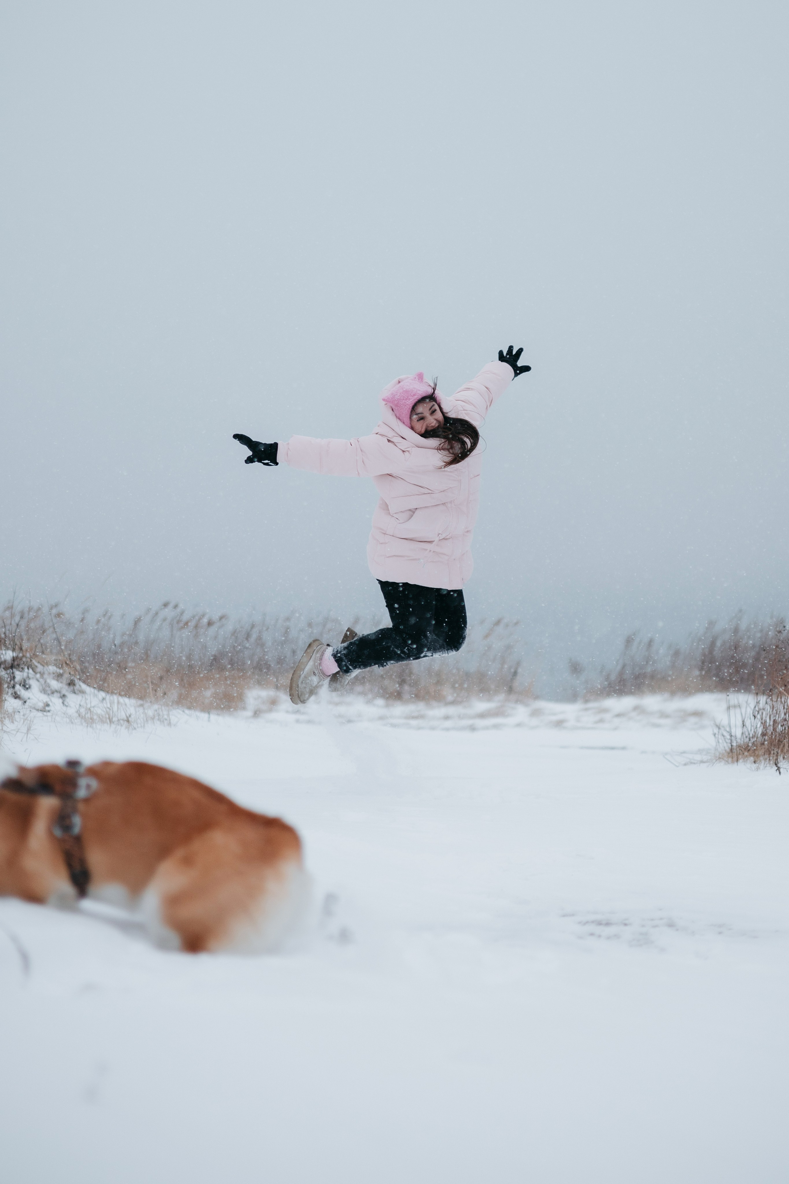Лена, Лиза и Мия. Фотограф — анималист Владивосток, Алина