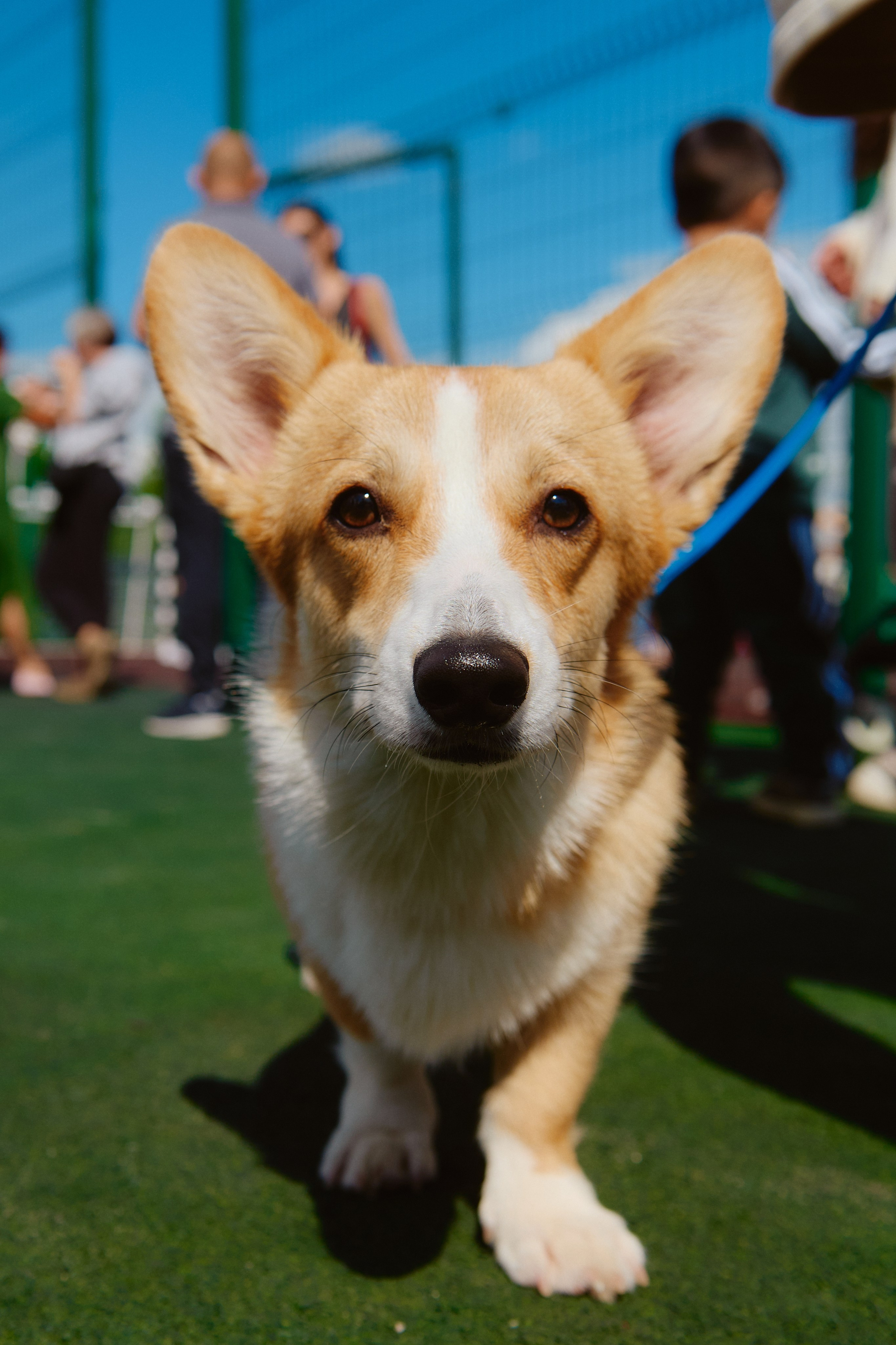Седельники Park. Фотограф Роман Арыкин Екатеринбург