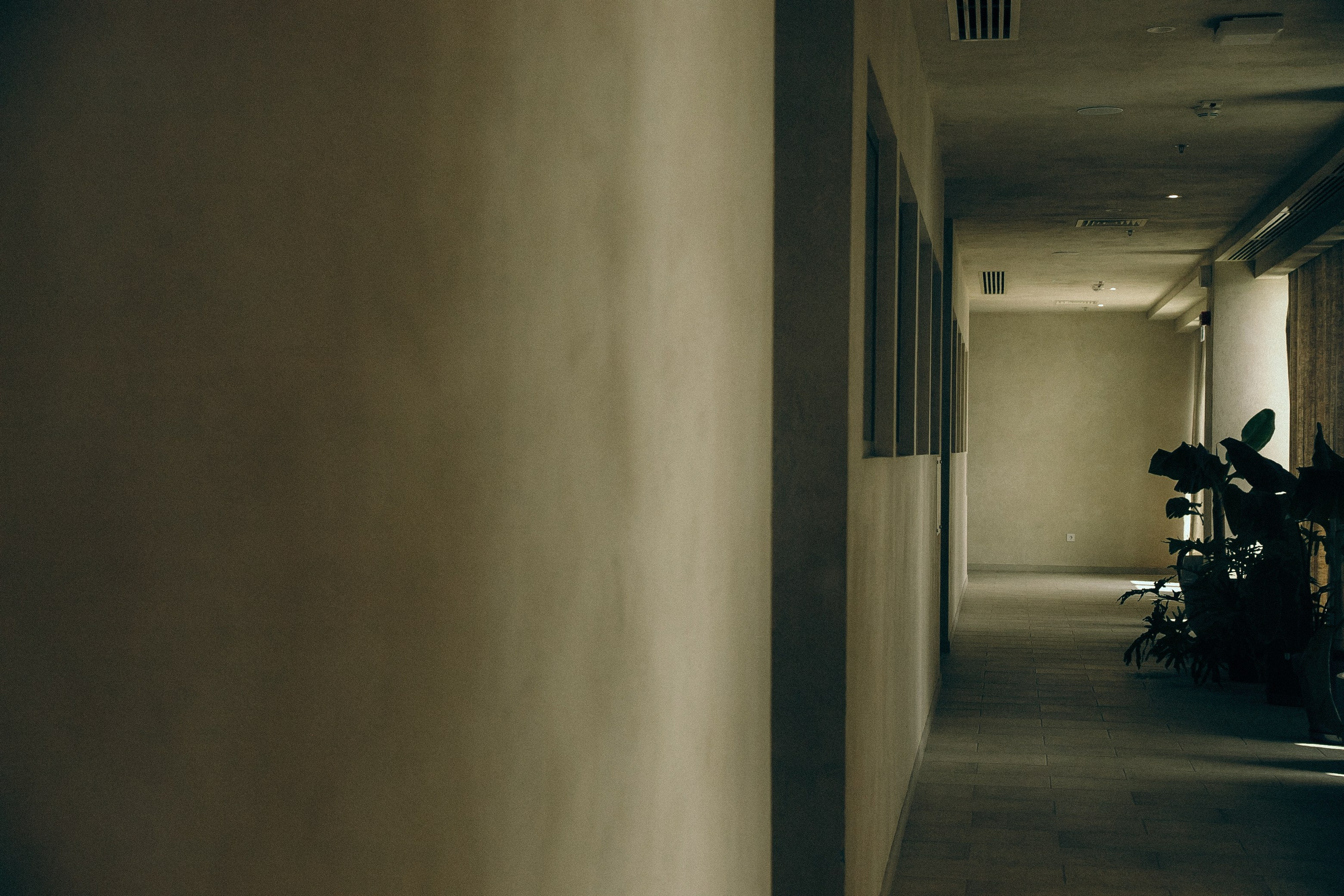 Иван и Надежда. Свадебный фотограф Грузия Тбилиси