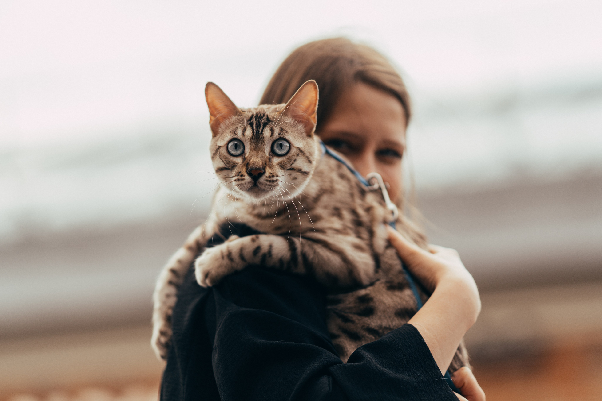 Моторы Италии. ДЕПО три вокзала. Жуков Илья  свадебный фотограф в Москве