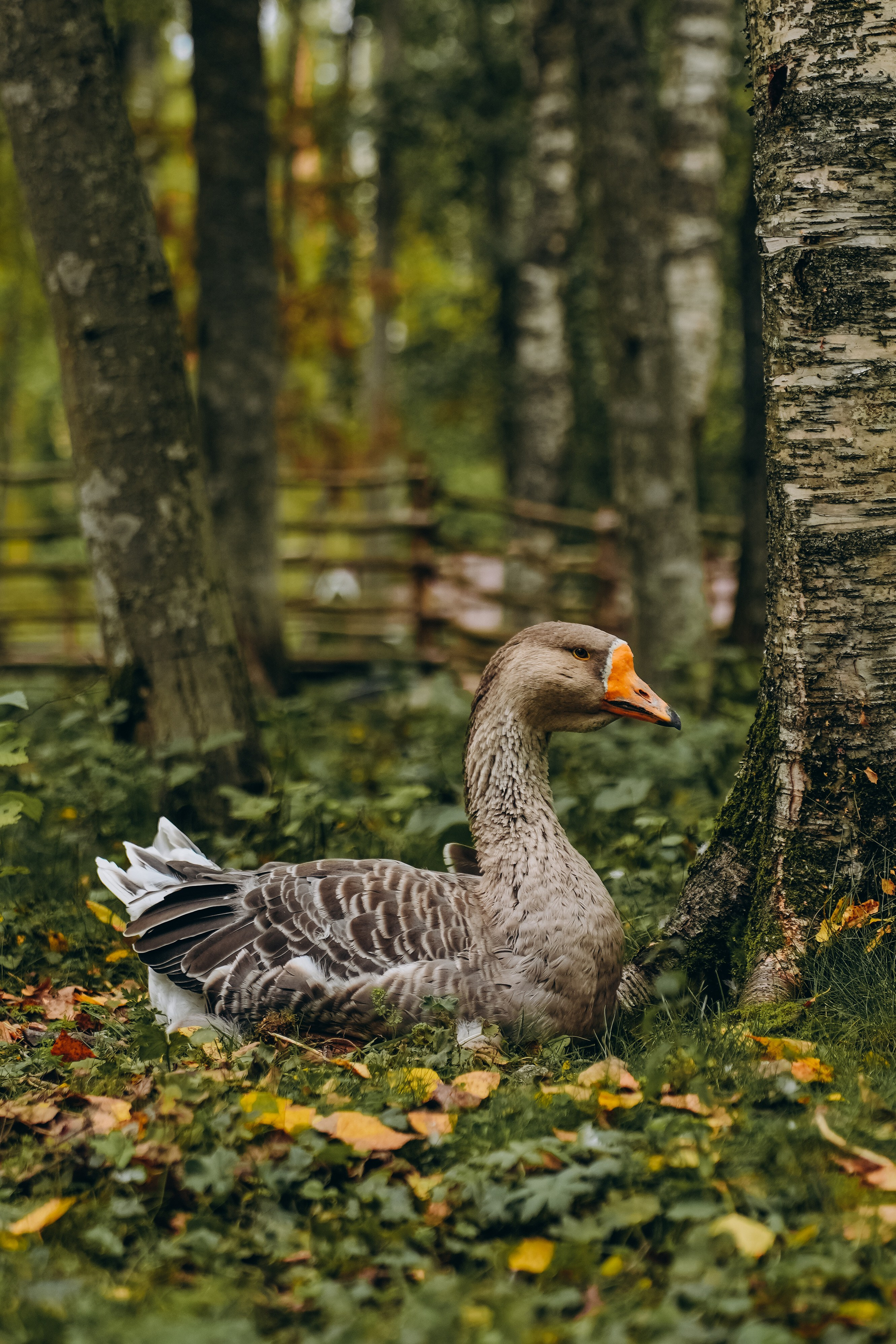 СЕВЕР. Event фотограф Степанова Александра