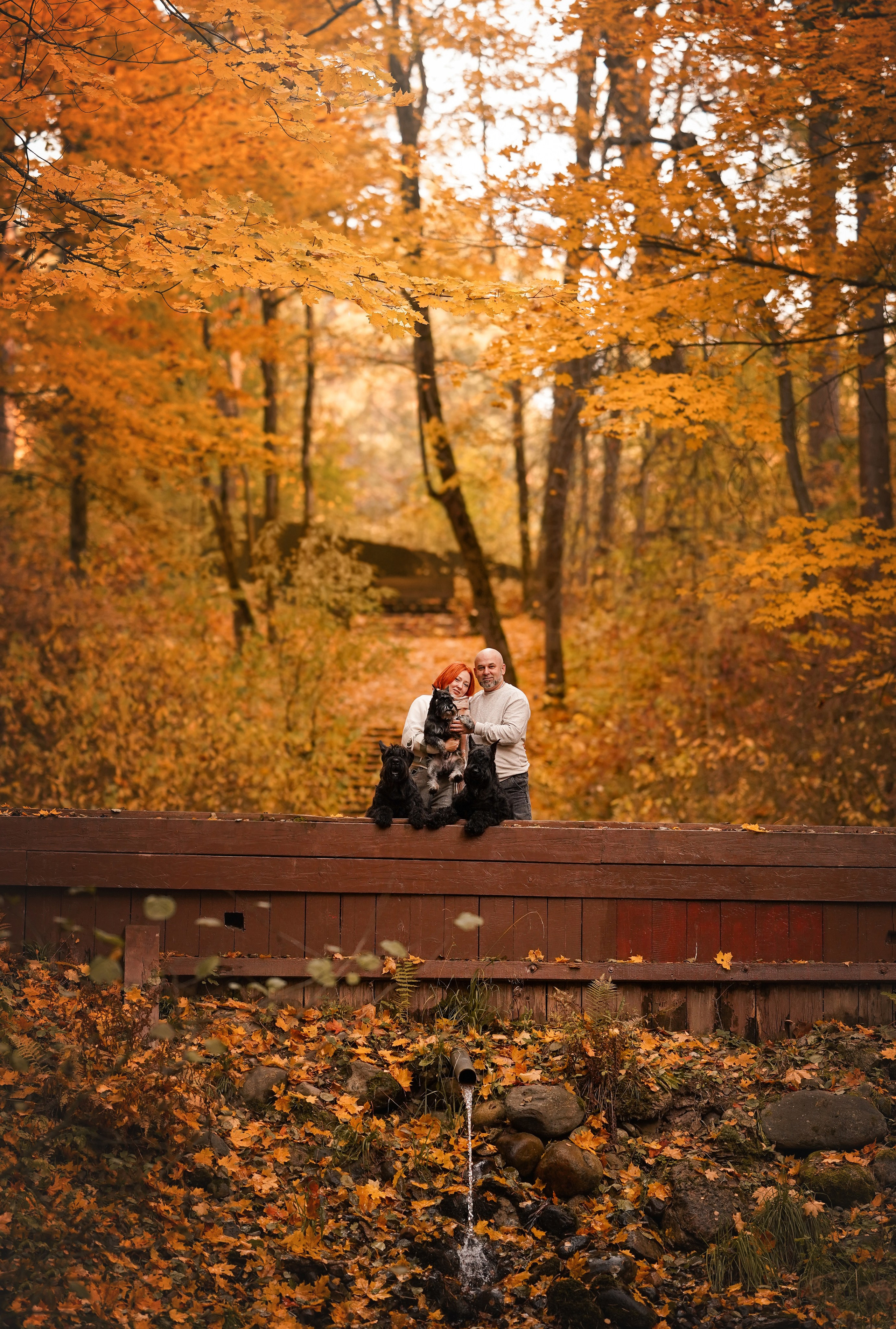 Оля Миша и шнауцеры. Фотограф-анималист в Санкт-Петербурге Яна Мартынова
