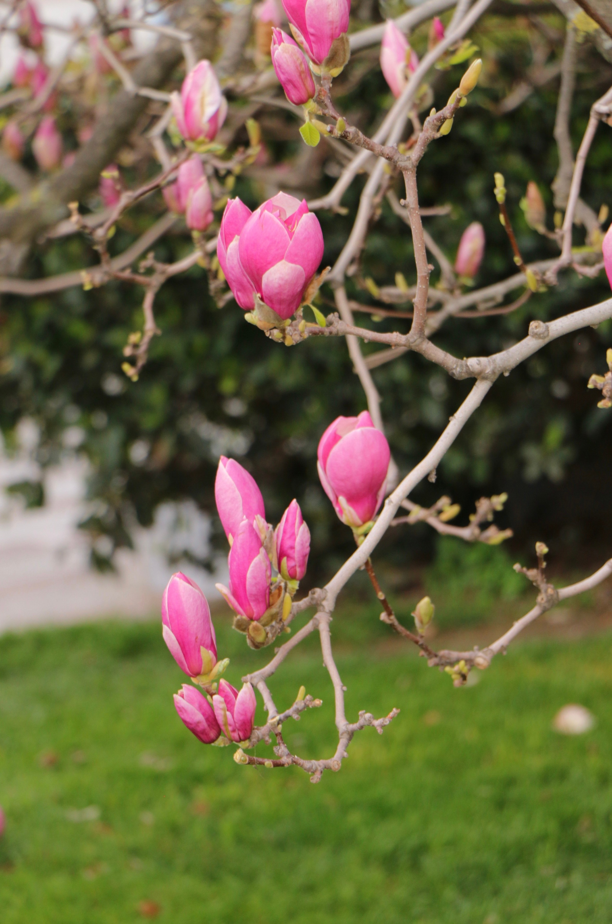 Природа. Семейный и детский фотограф в Ялте Ольга Солерина