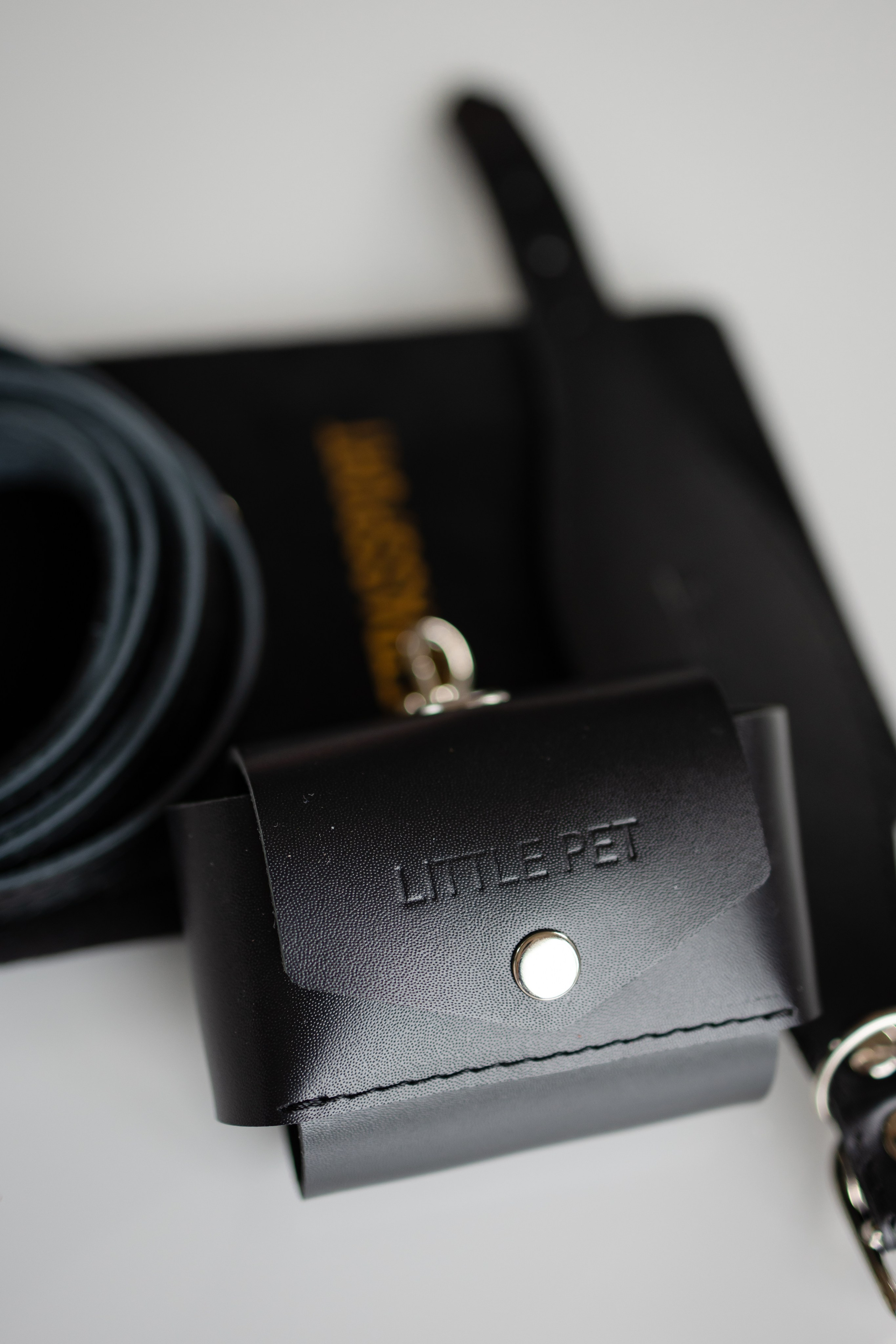 Прогулки. Профессиональный питомник левреток РКФ/FCI ASTI SAPPHIRE 💎 Сочи|Санкт-Петербург