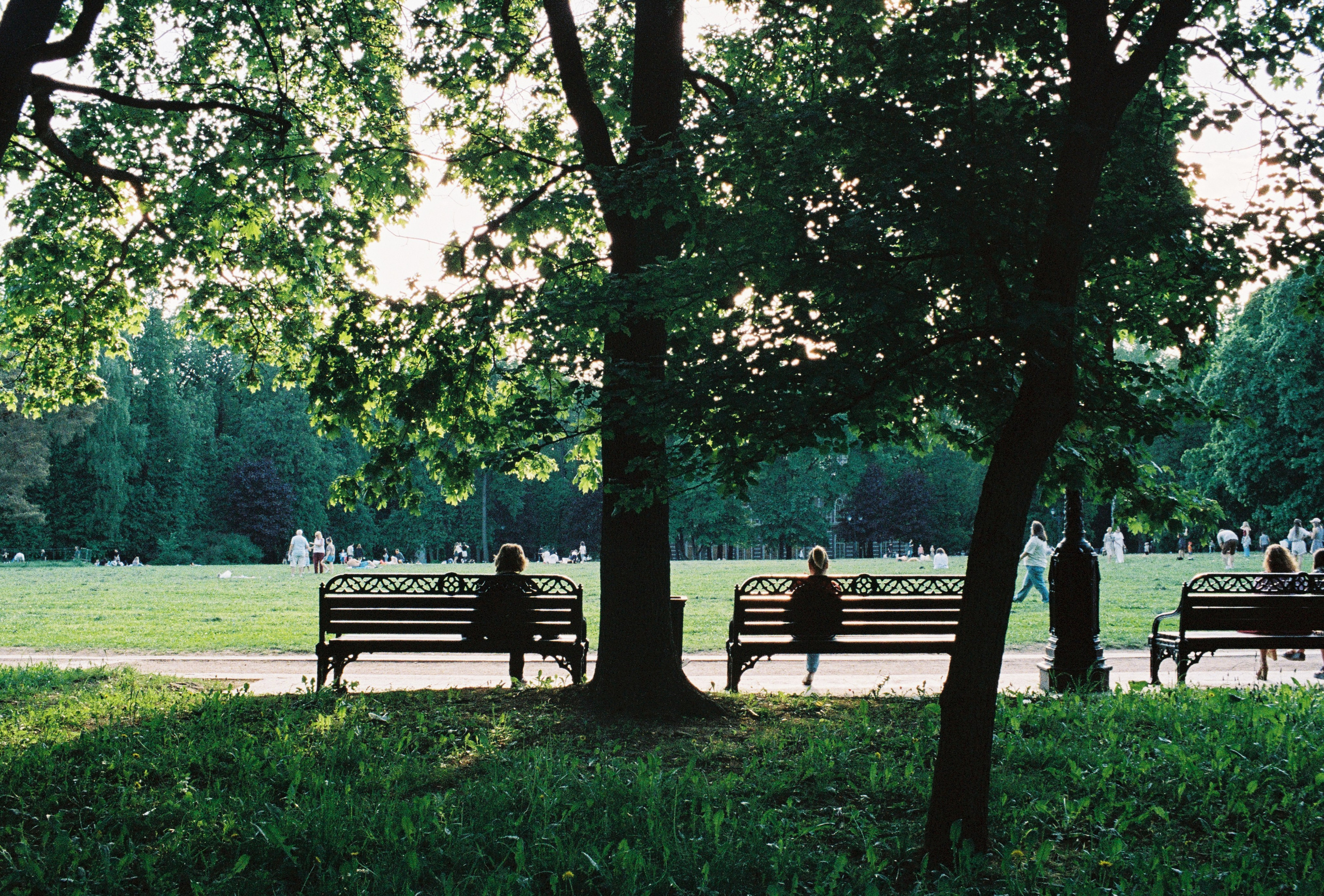Отдыхающие на скамейках в парке Царицино в Москве