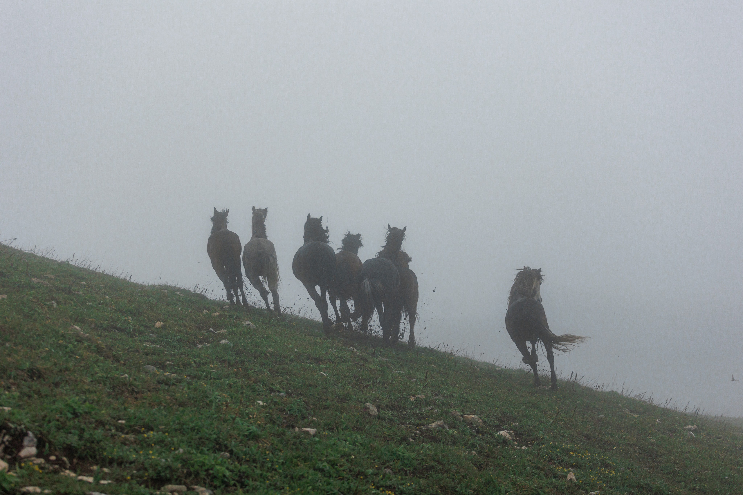 Съемки в горах. Фотограф в Санкт-Петербурге и Москве Макс Спектор