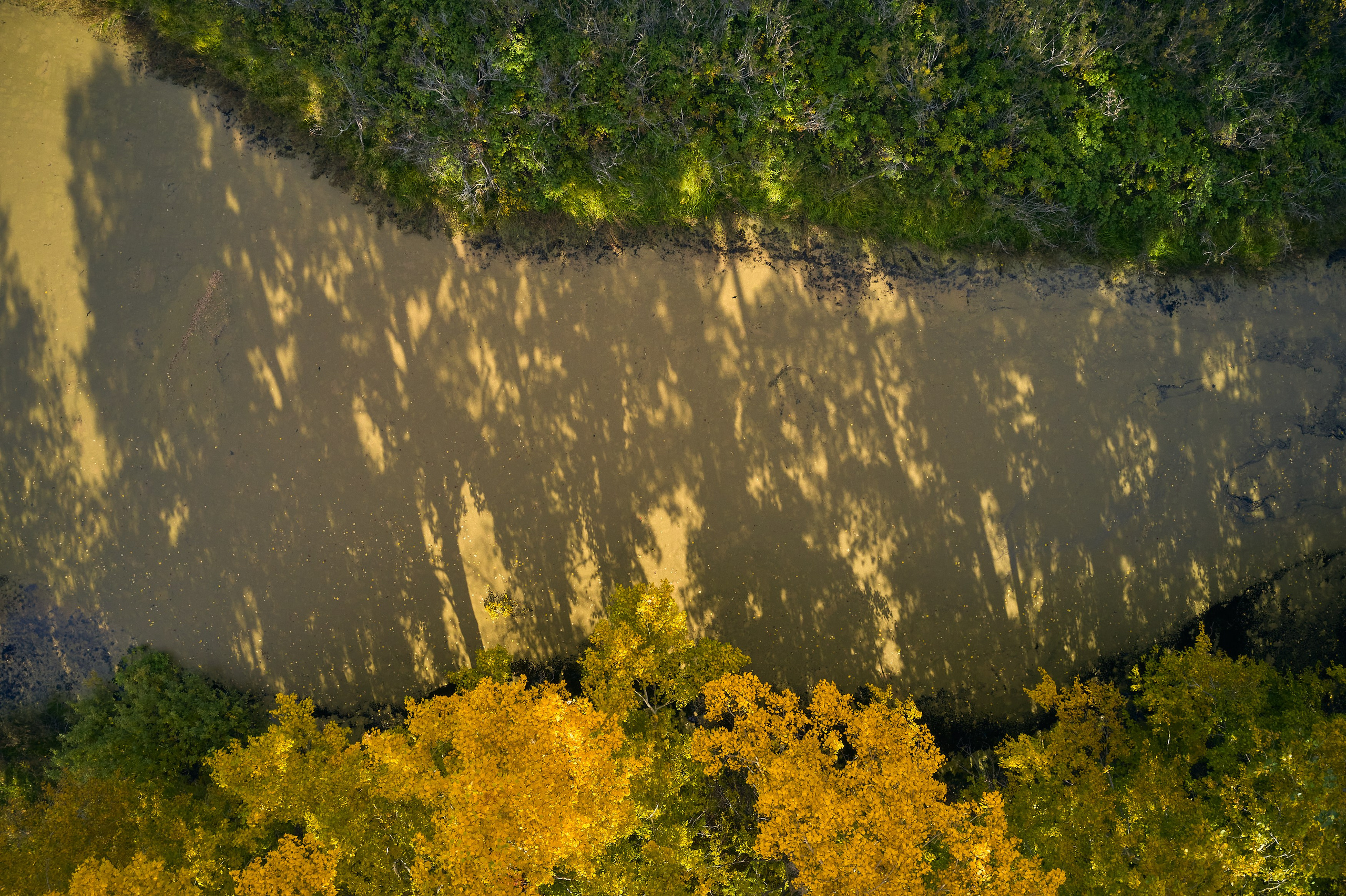 Съемка в полете. DMITRY MOISEENKO — фотограф, художник, топ-стилист