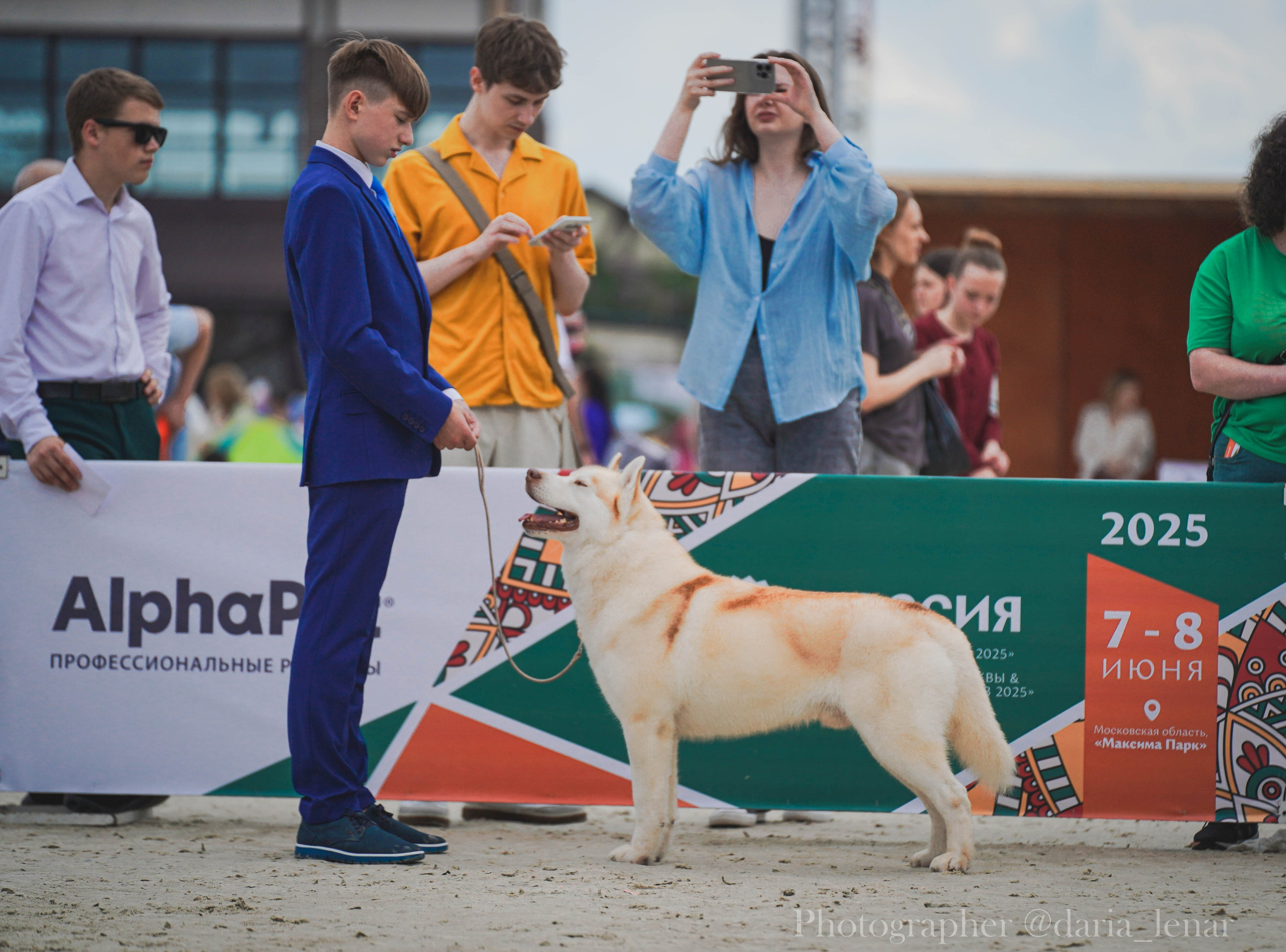 Выставки собак. Фотограф в Москве Ленарская Дарья