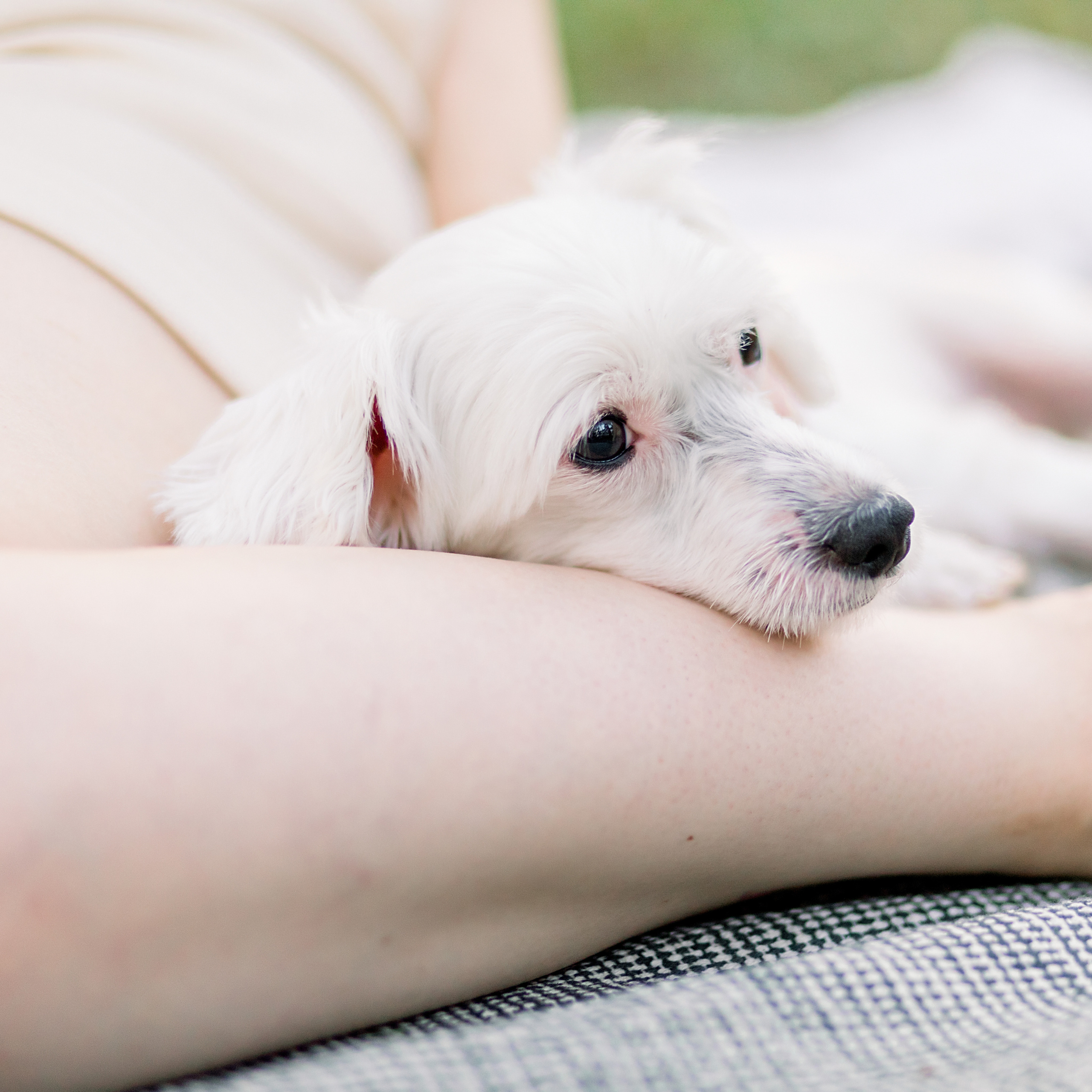 Наташа и Илья. Лена Крутова. Фотограф в Москве