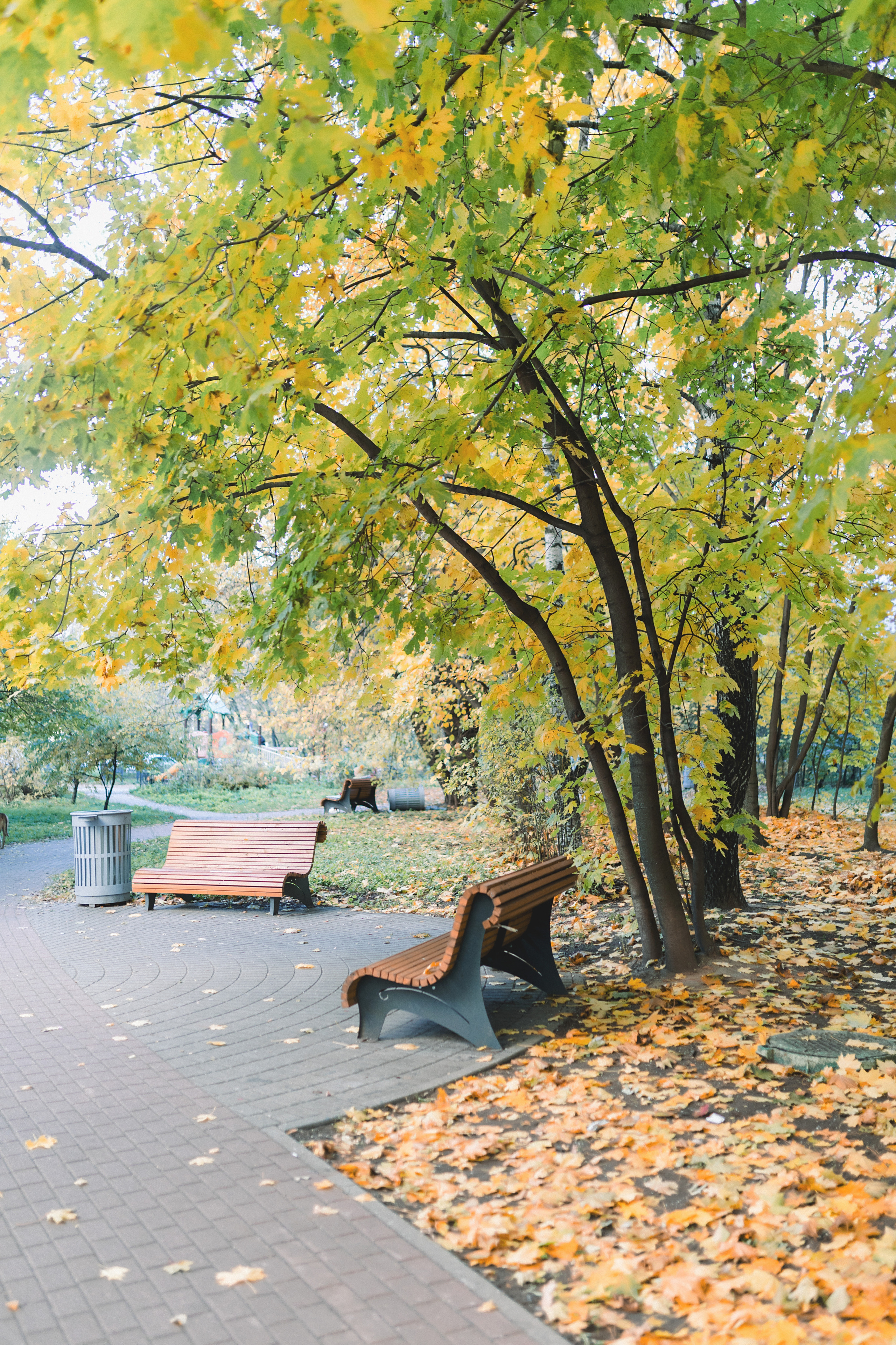 Наша осенняя прогулка. Лена Крутова. Фотограф в Москве